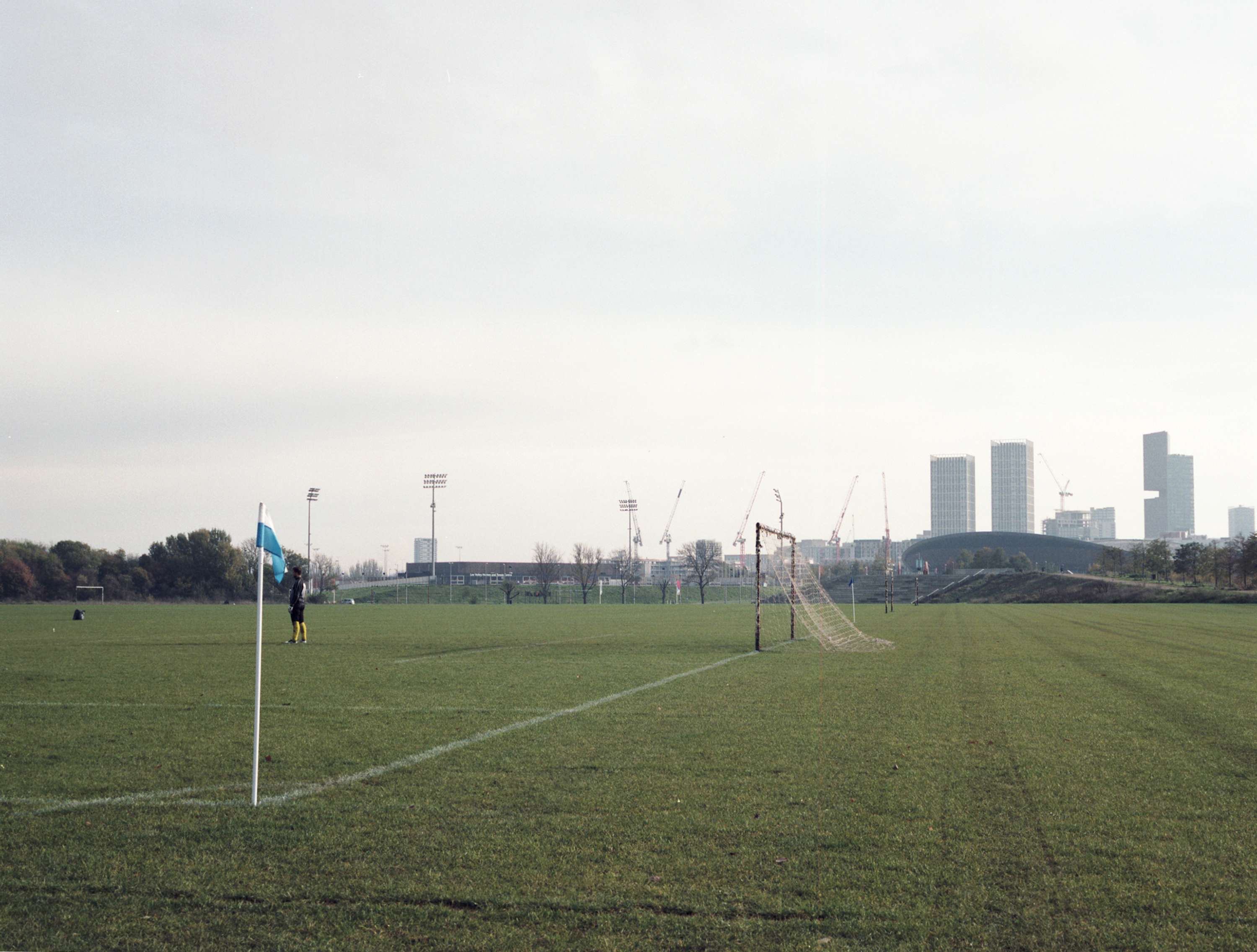 Grassroots by Michael Morgan