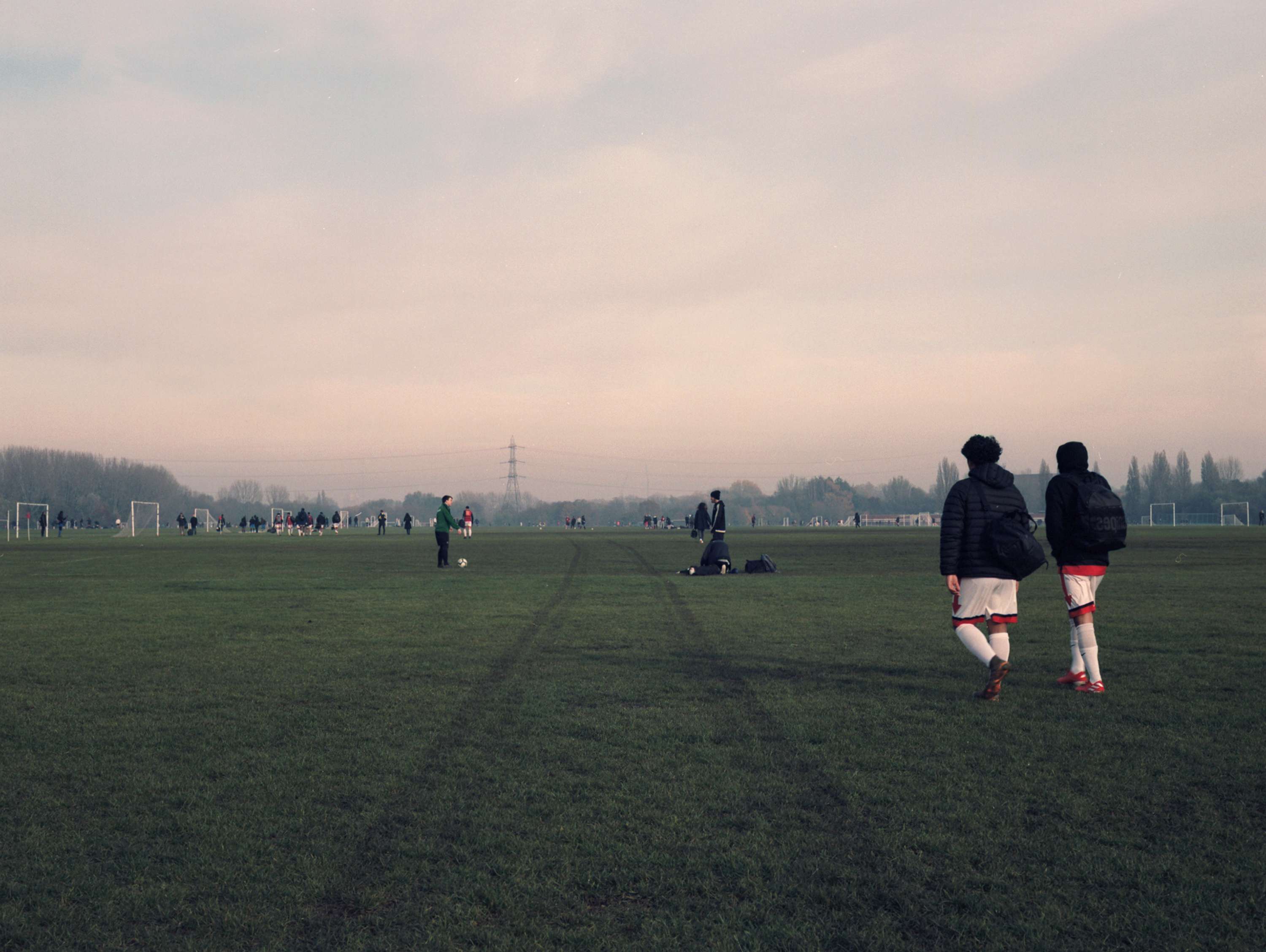 Grassroots by Michael Morgan