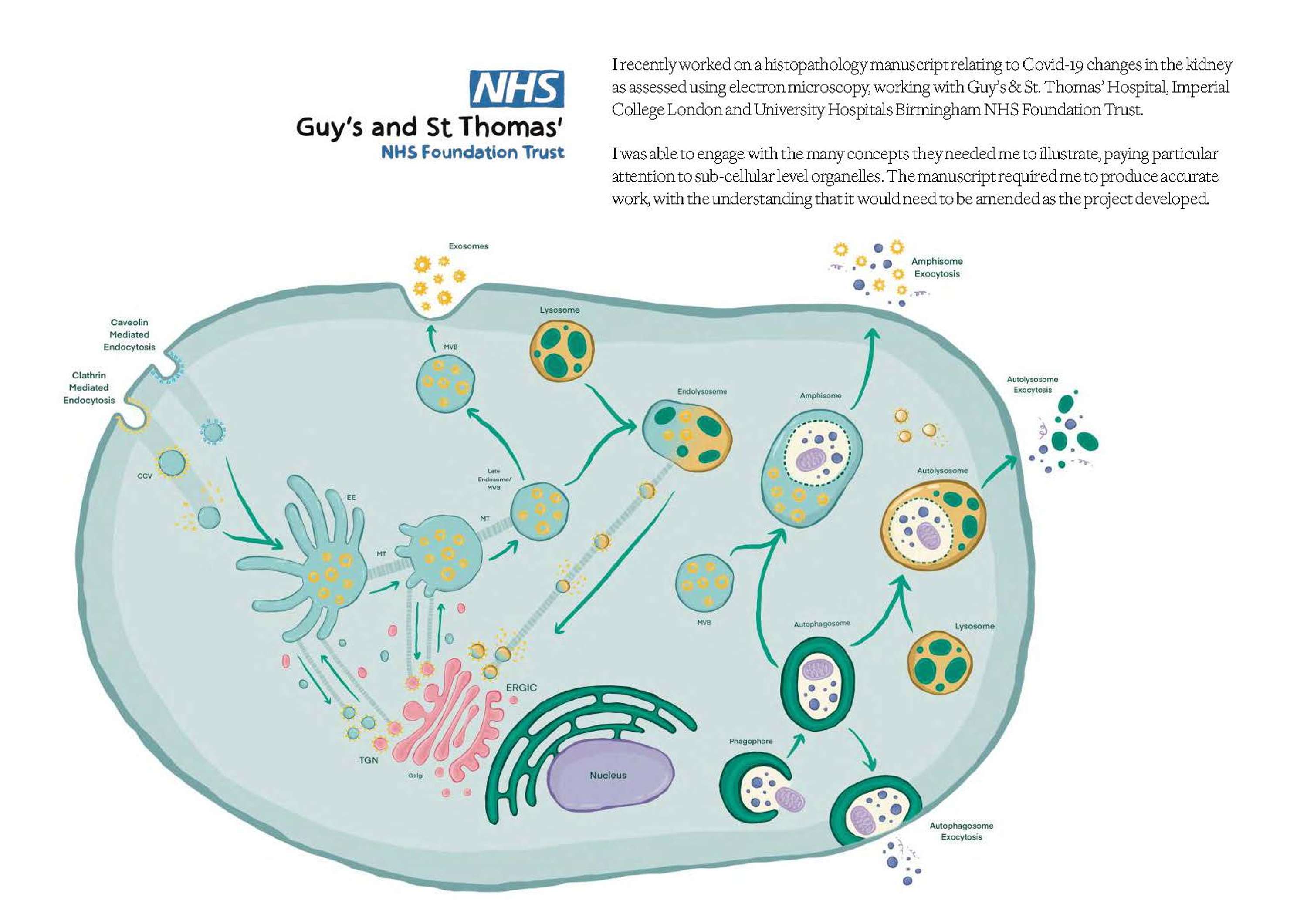 Portfolio 2020 by Rae Goddard
