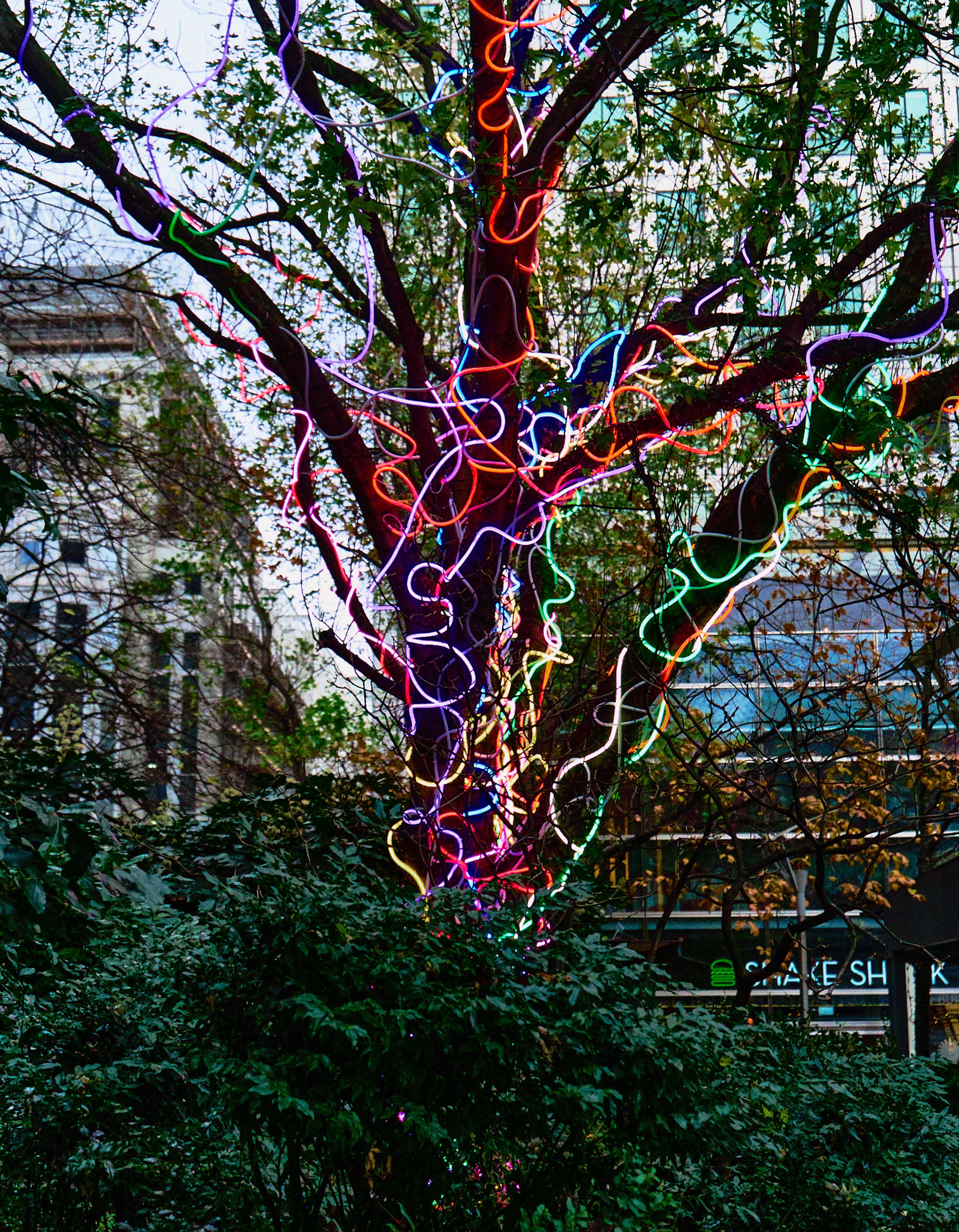 Canary Wharf During the Last Lockdown Part 1 by Rhys Chidwick