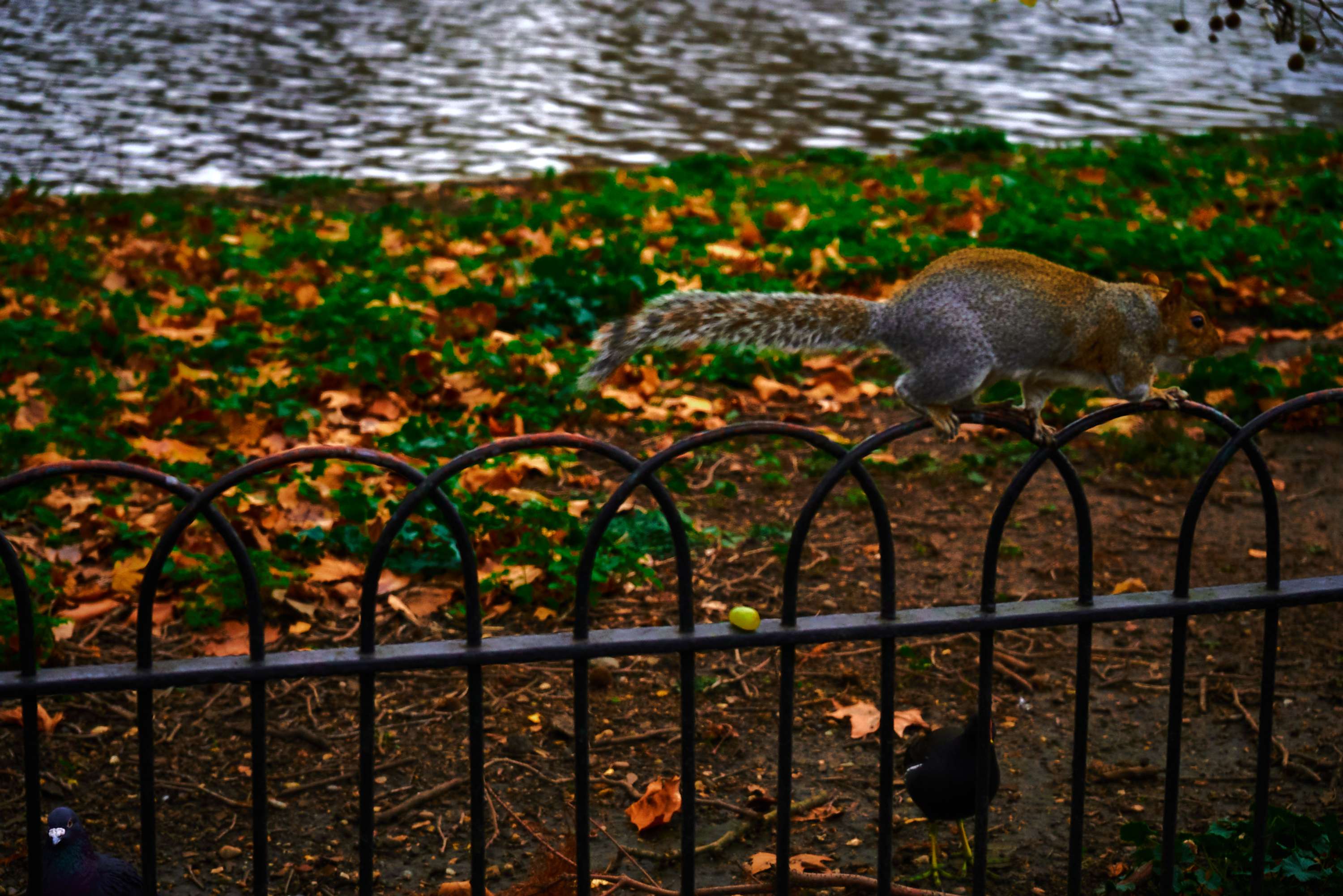 Central London During the Last Lockdown Part 2 by Rhys Chidwick