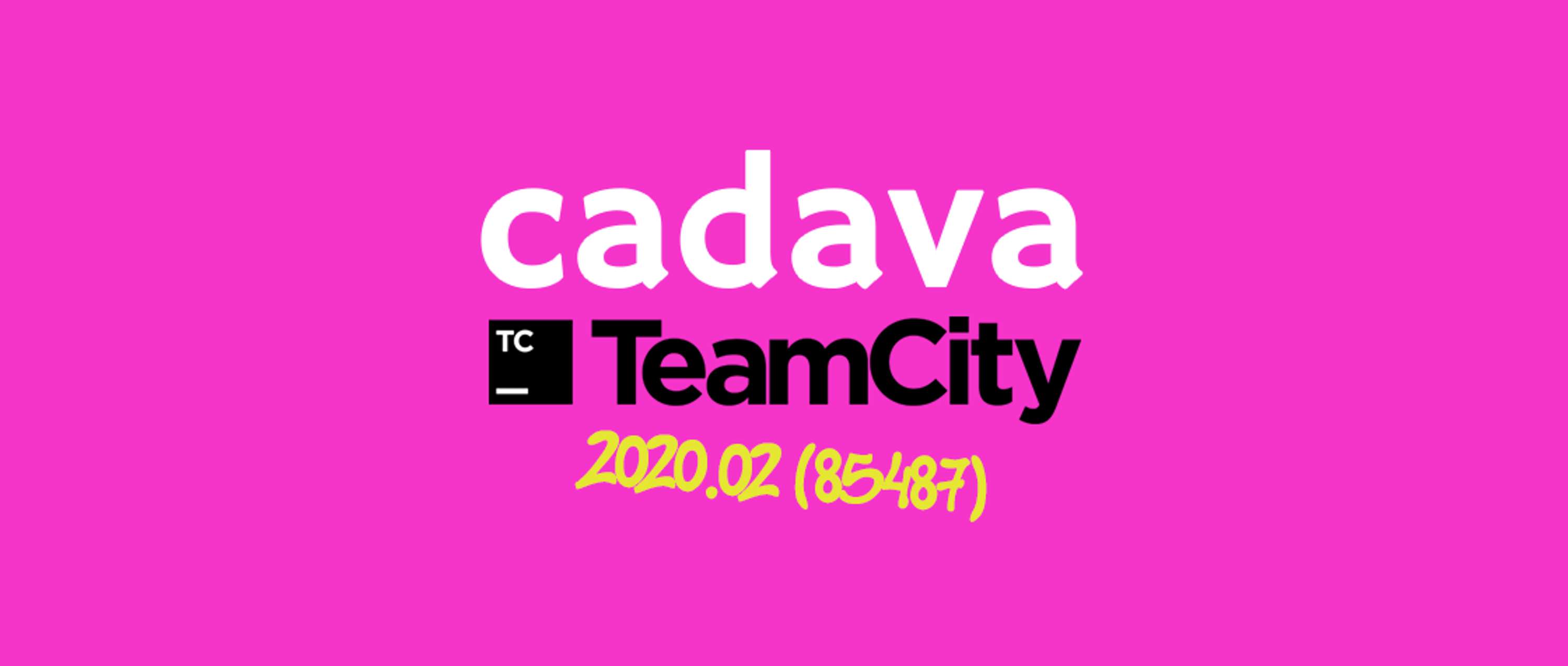 Cadava Updates build server to TeamCity Version 2020.2 by Cadava