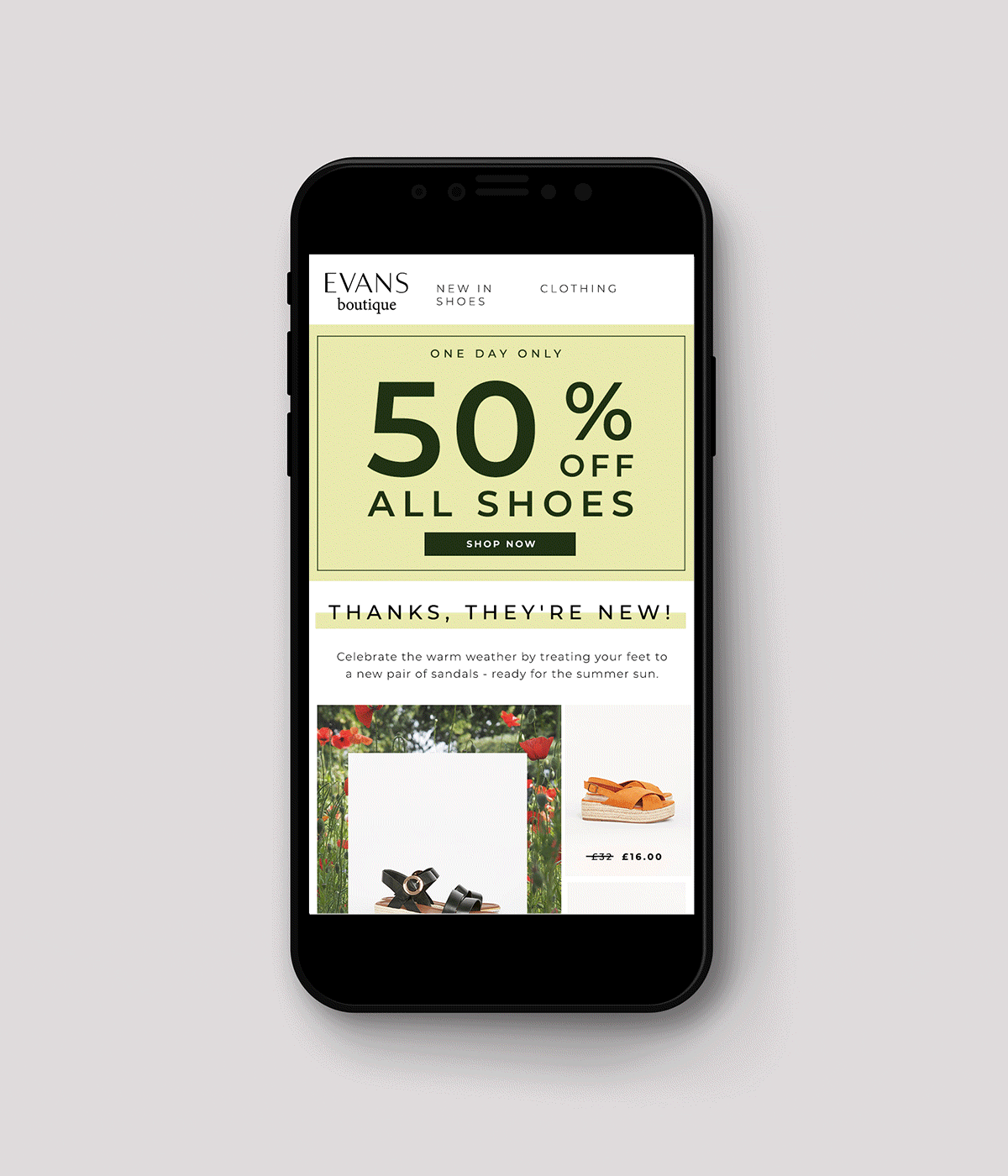 Evans Email Design - 2020 by Emma Winchester