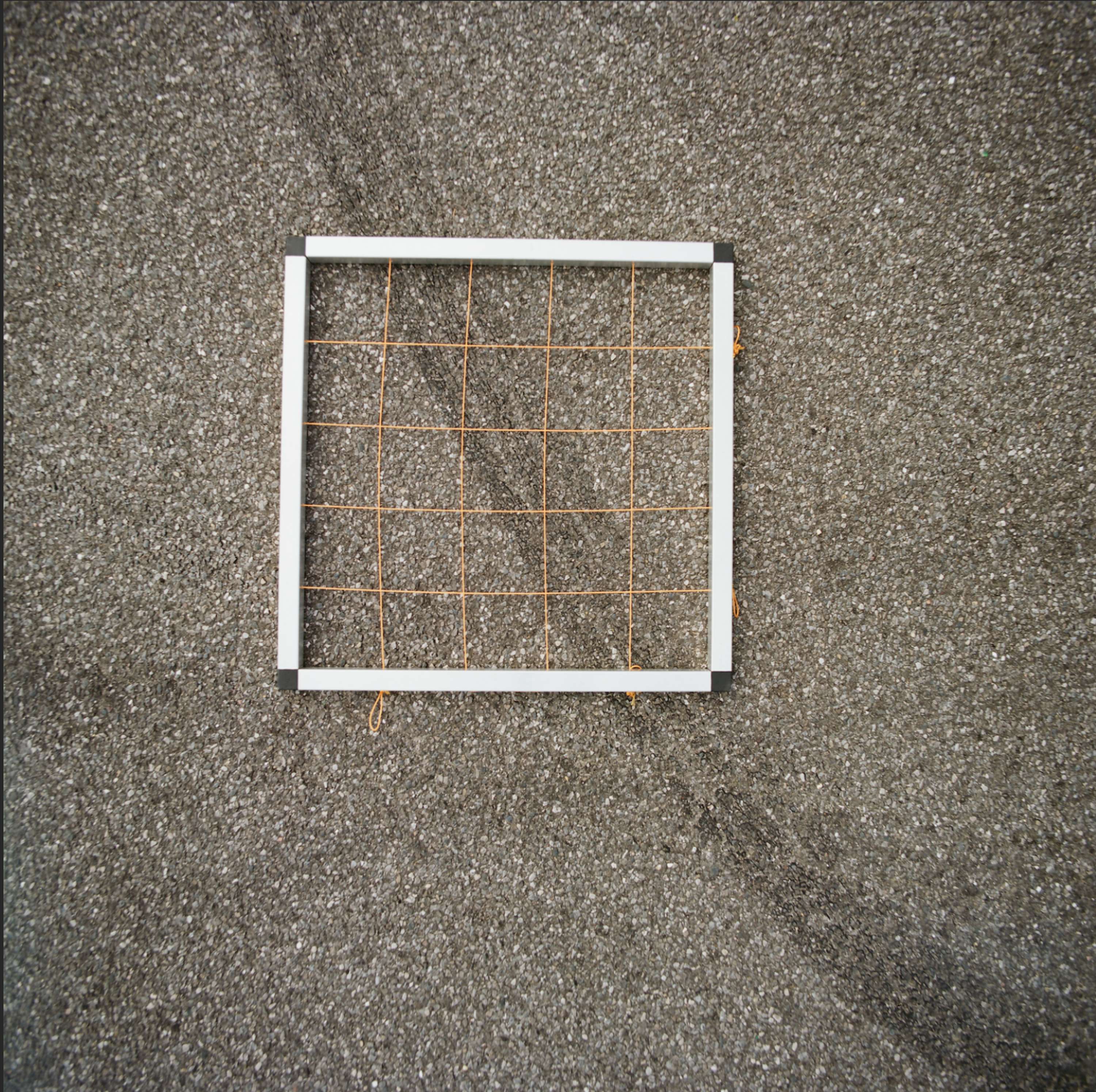 Fieldwalk by Lewis Healy