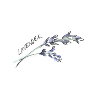 Lavender Consultancy logo