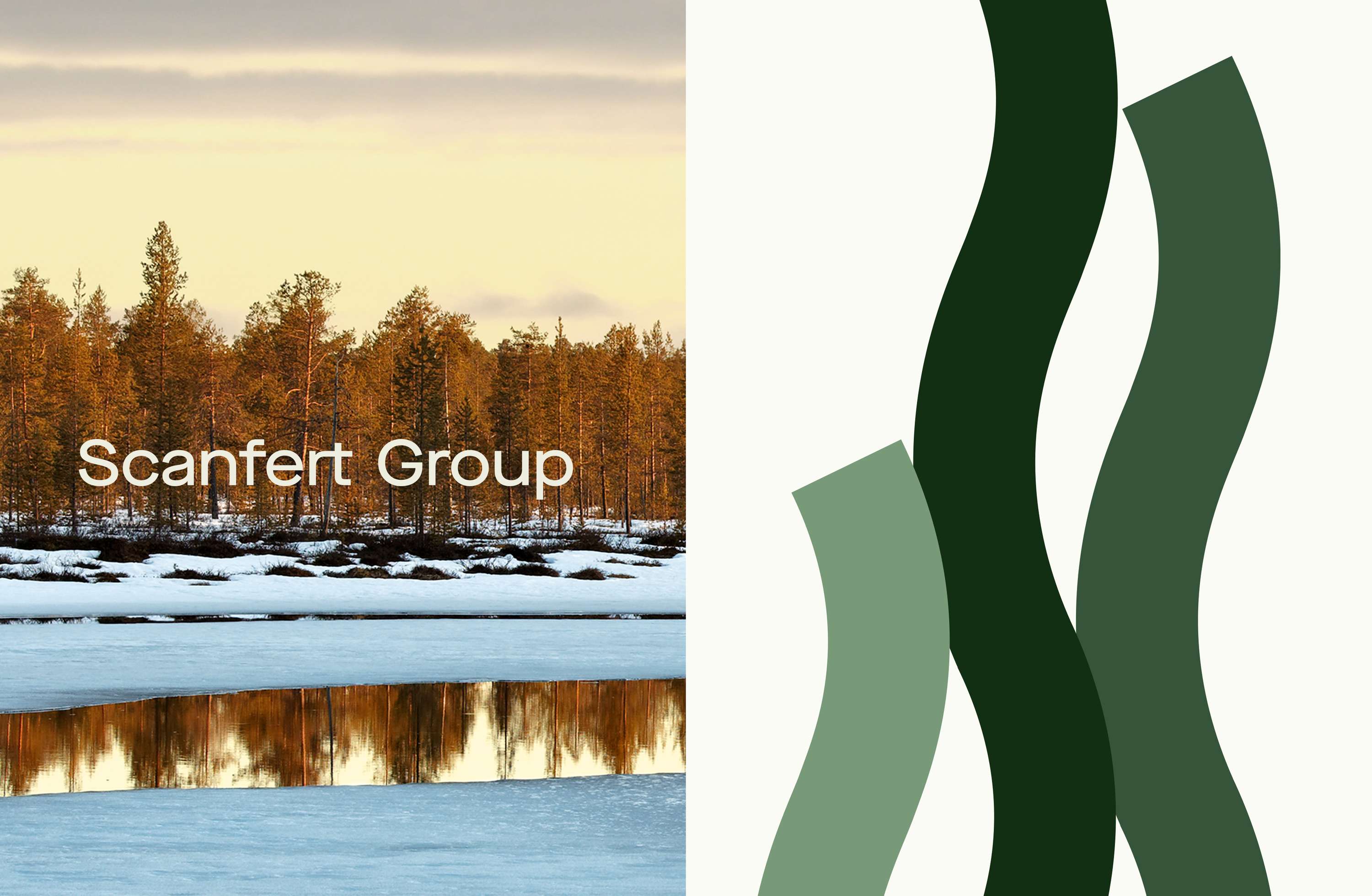 Scanfert Group by Renan Vizzotto