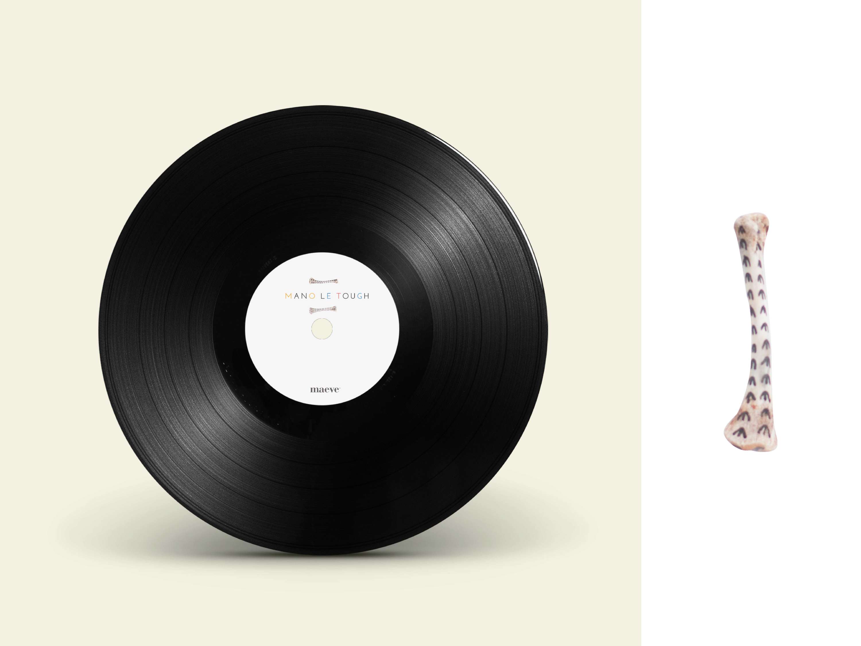 Shillington Student Projects by Aisling O'Connor