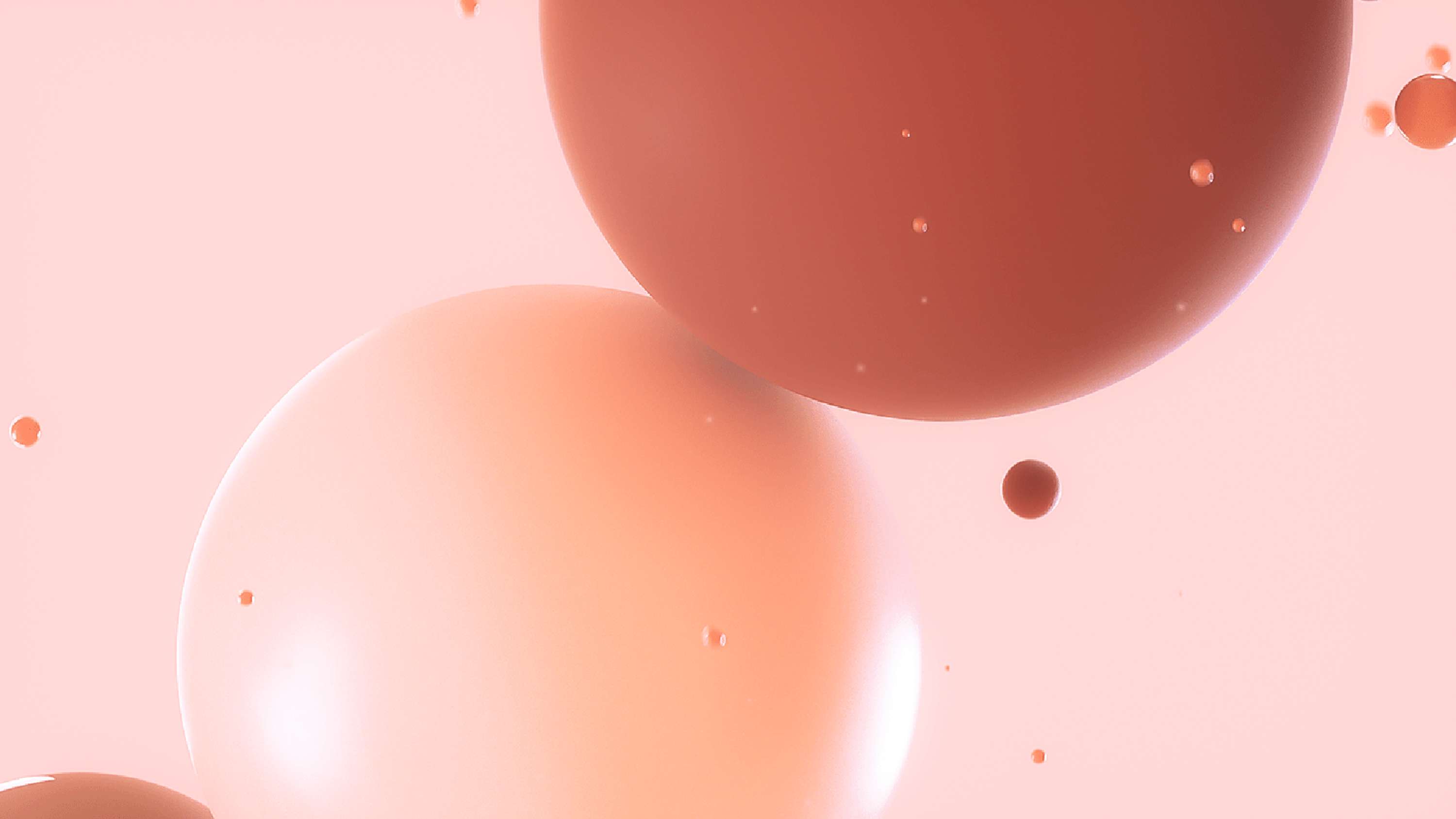 Atelier PIP by 20something
