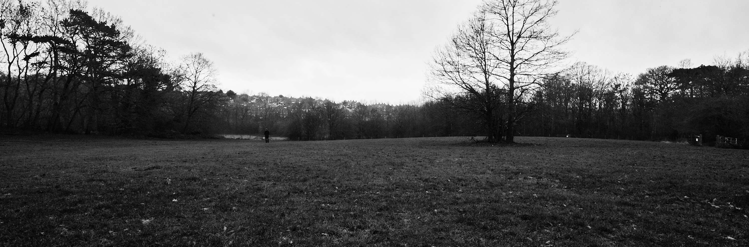 Back to Nature by Rhys Chidwick