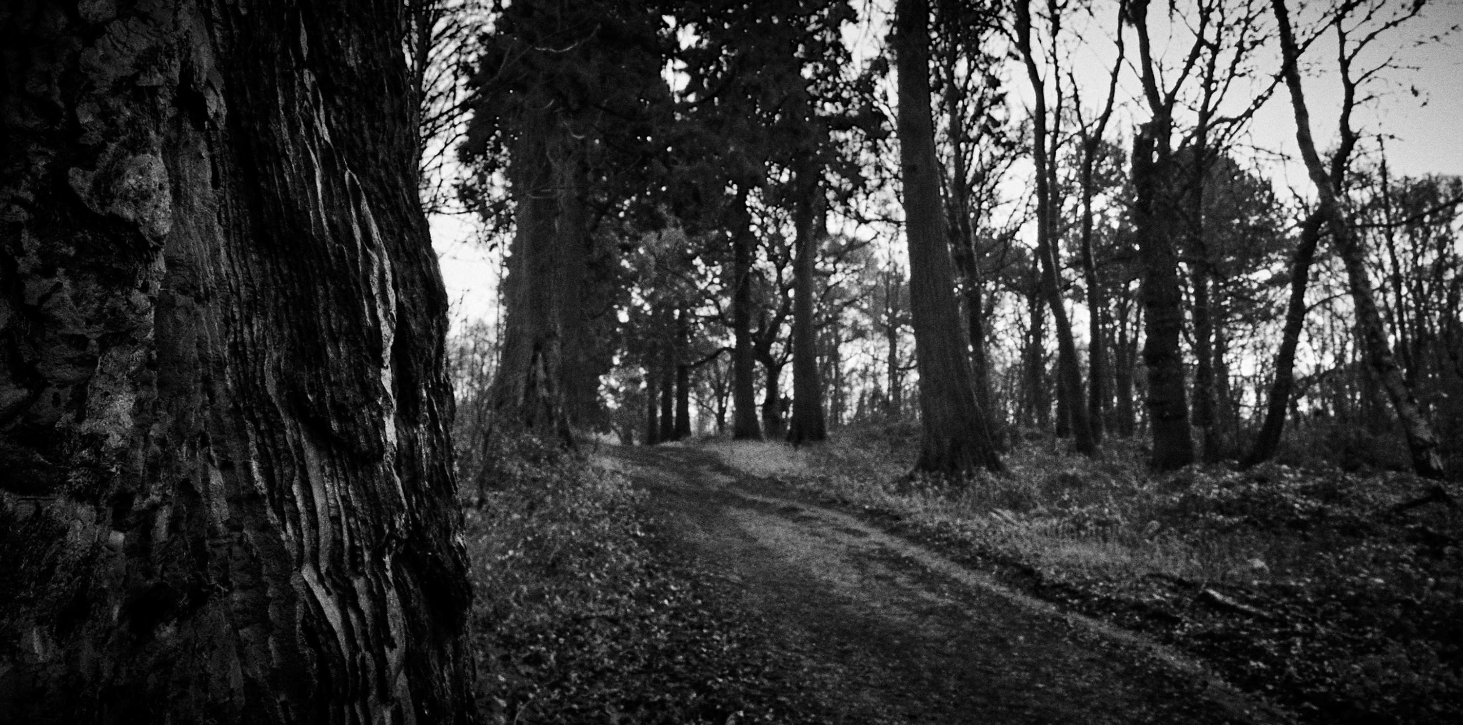 Back to Nature by Rhys Chidwick