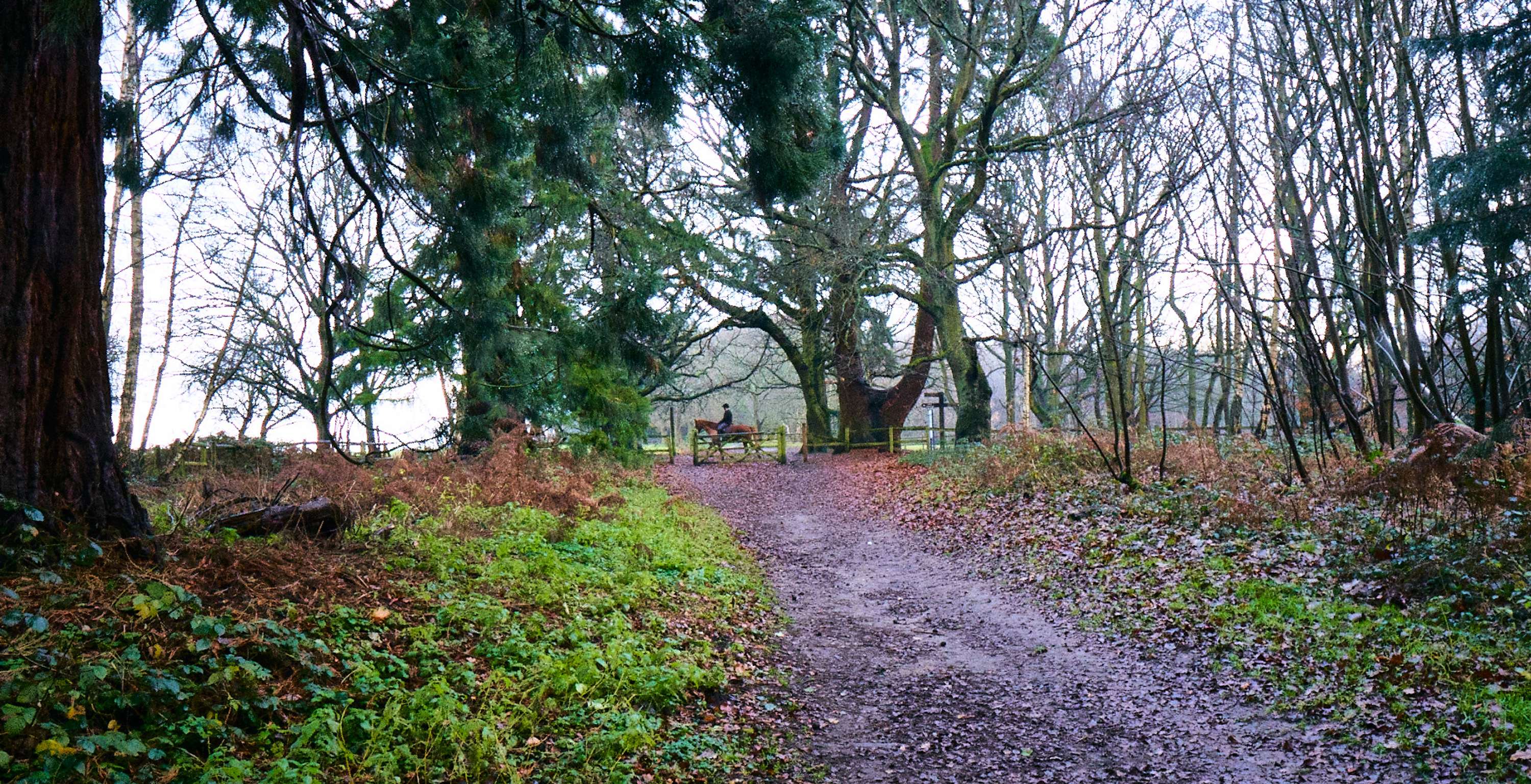 Back to Nature by Rhys Chidwick