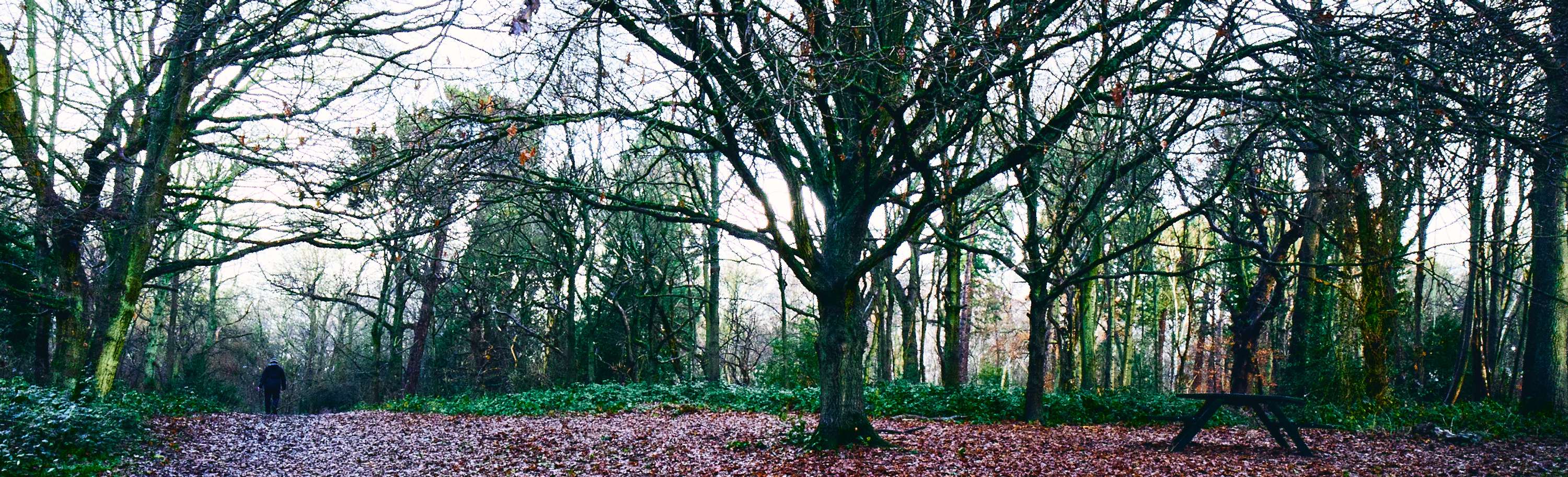 Back to Nature by Rhys Chidwick