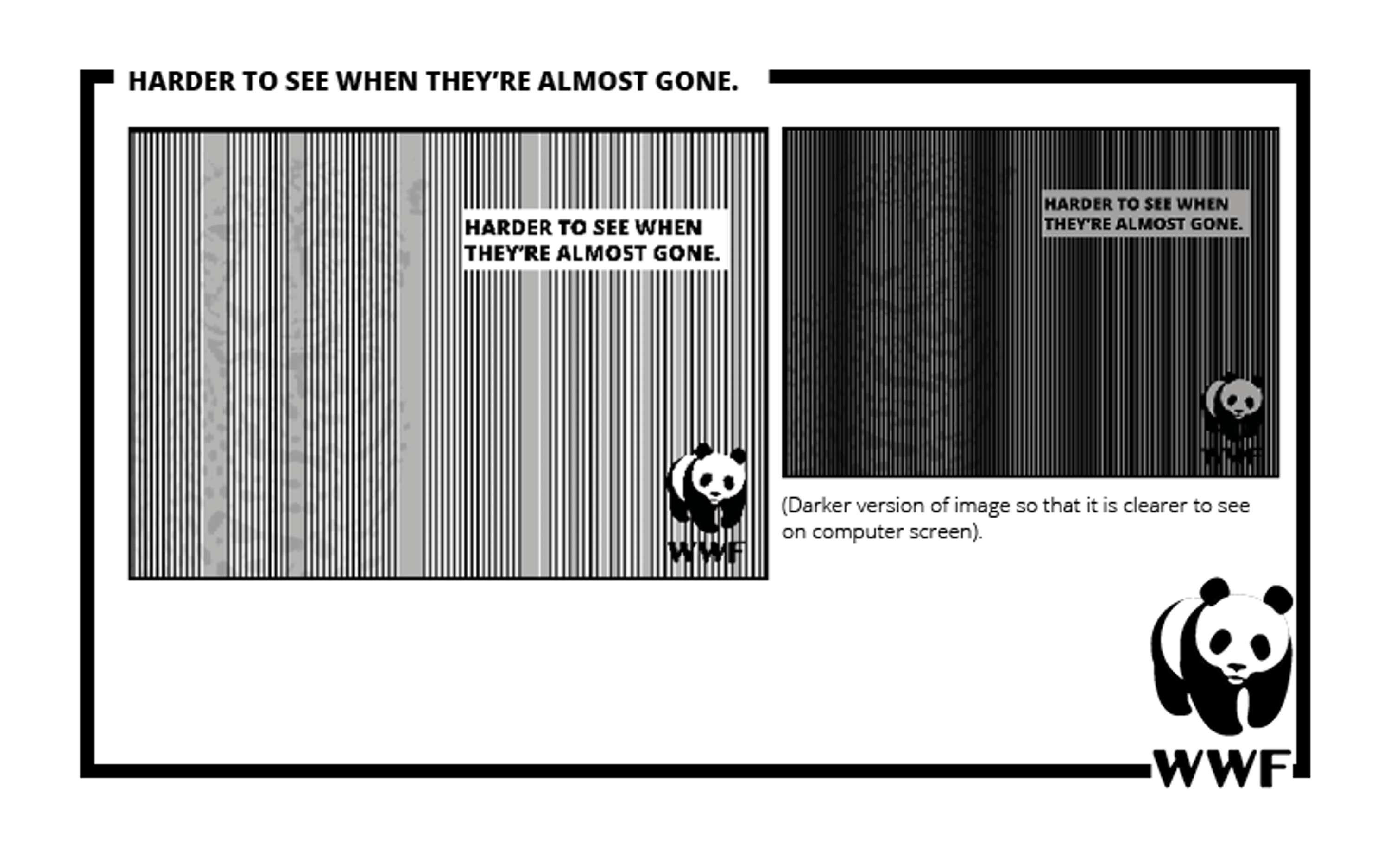 WWF by Meg Hoyes