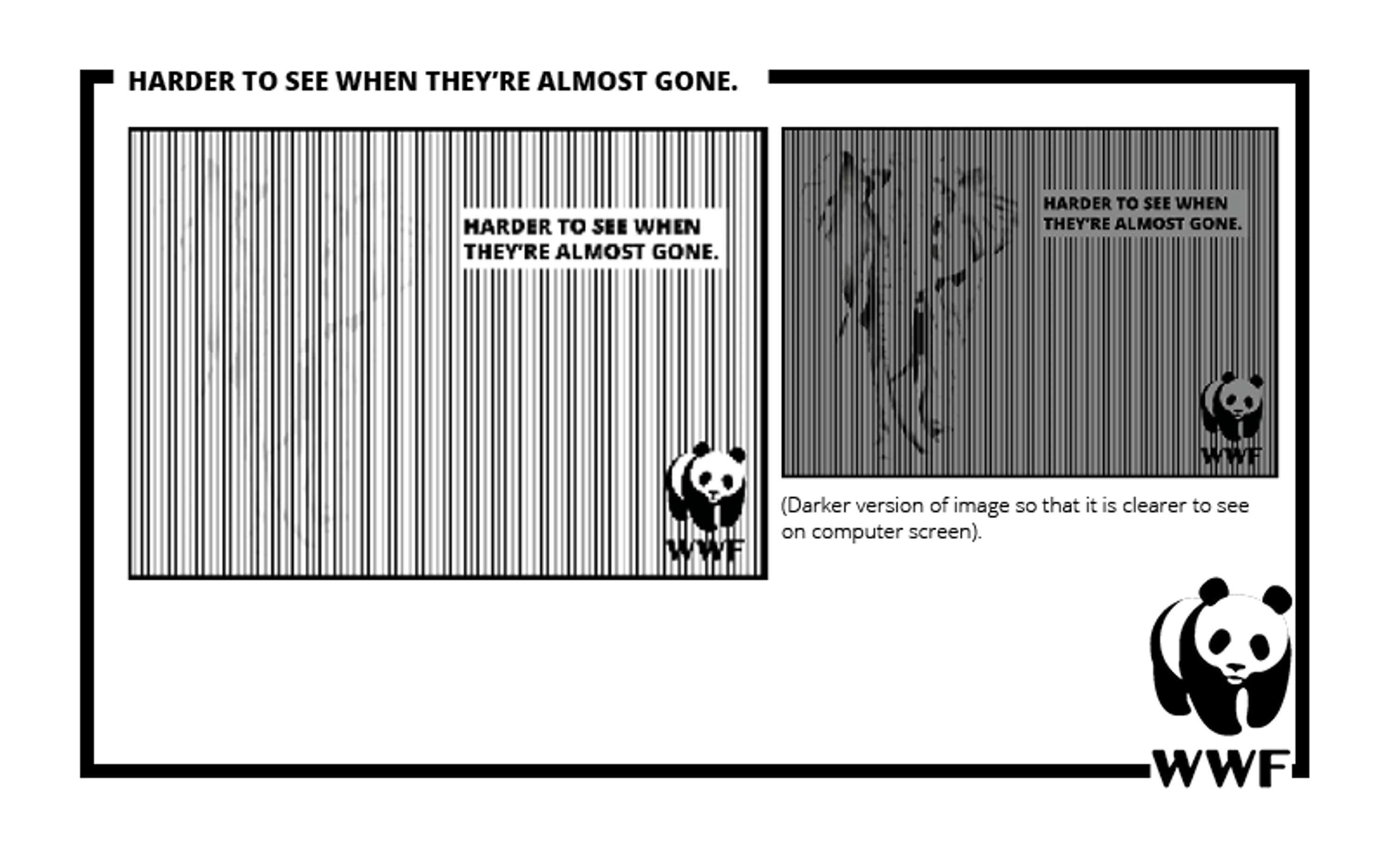 WWF by Meg Hoyes