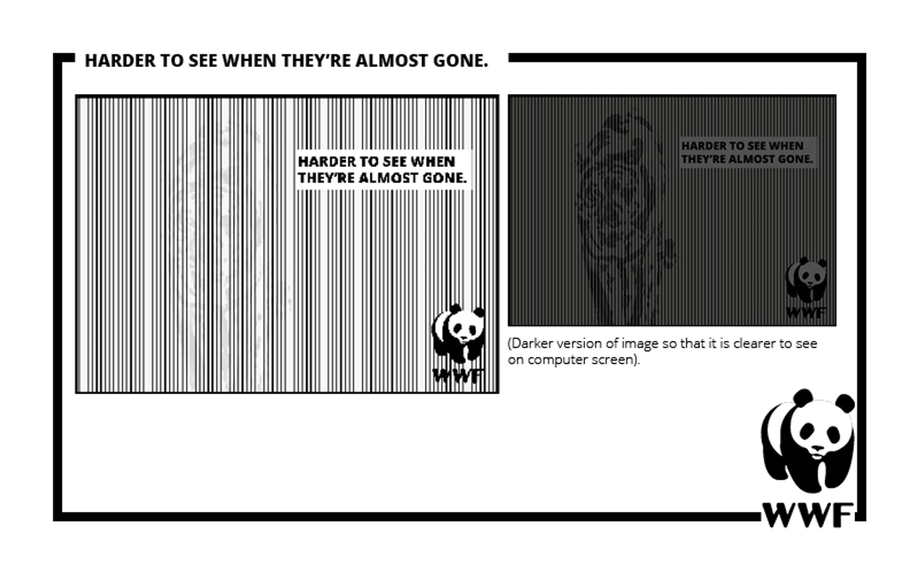 WWF by Meg Hoyes