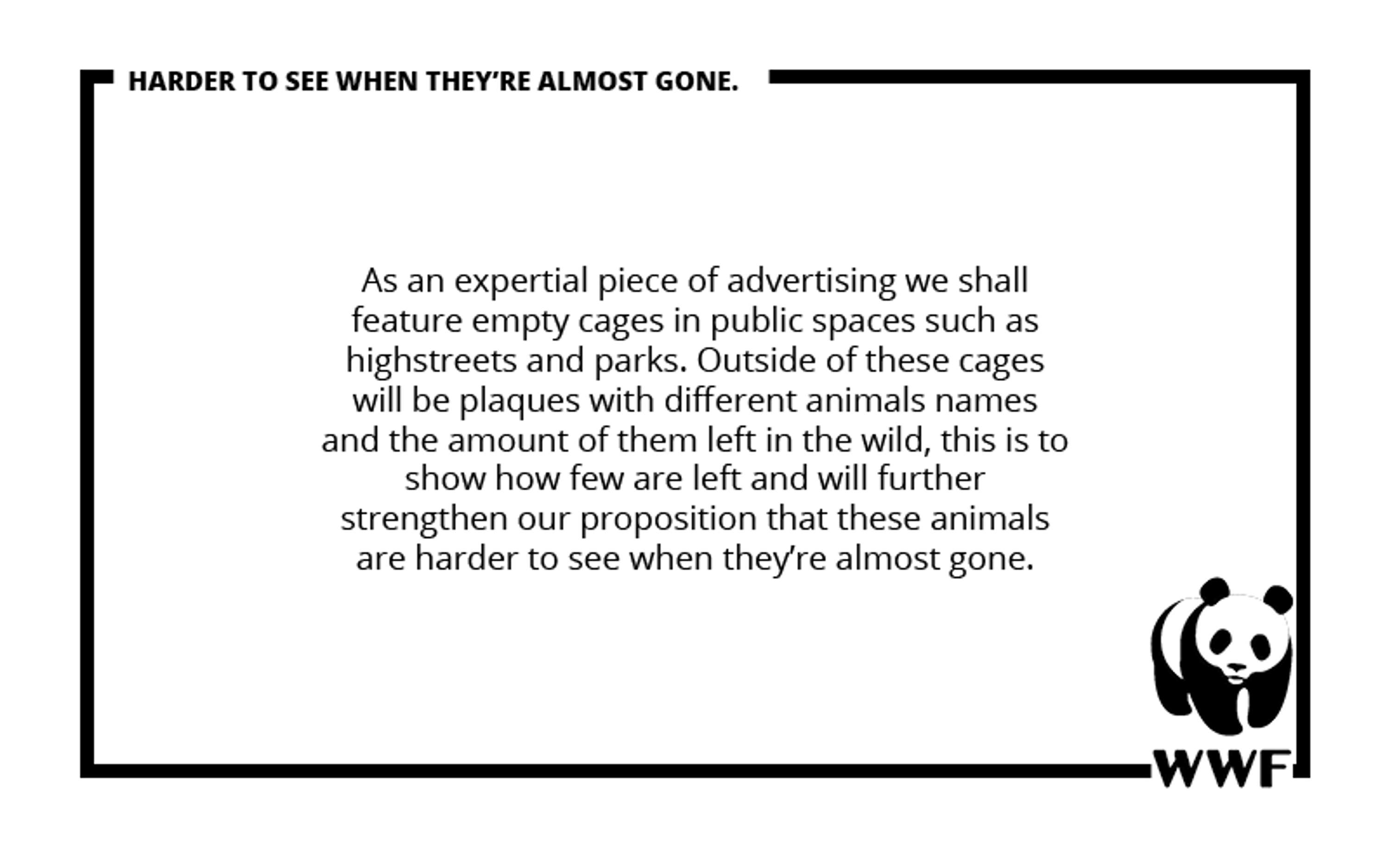 WWF by Meg Hoyes