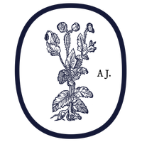Amarra Journal logo