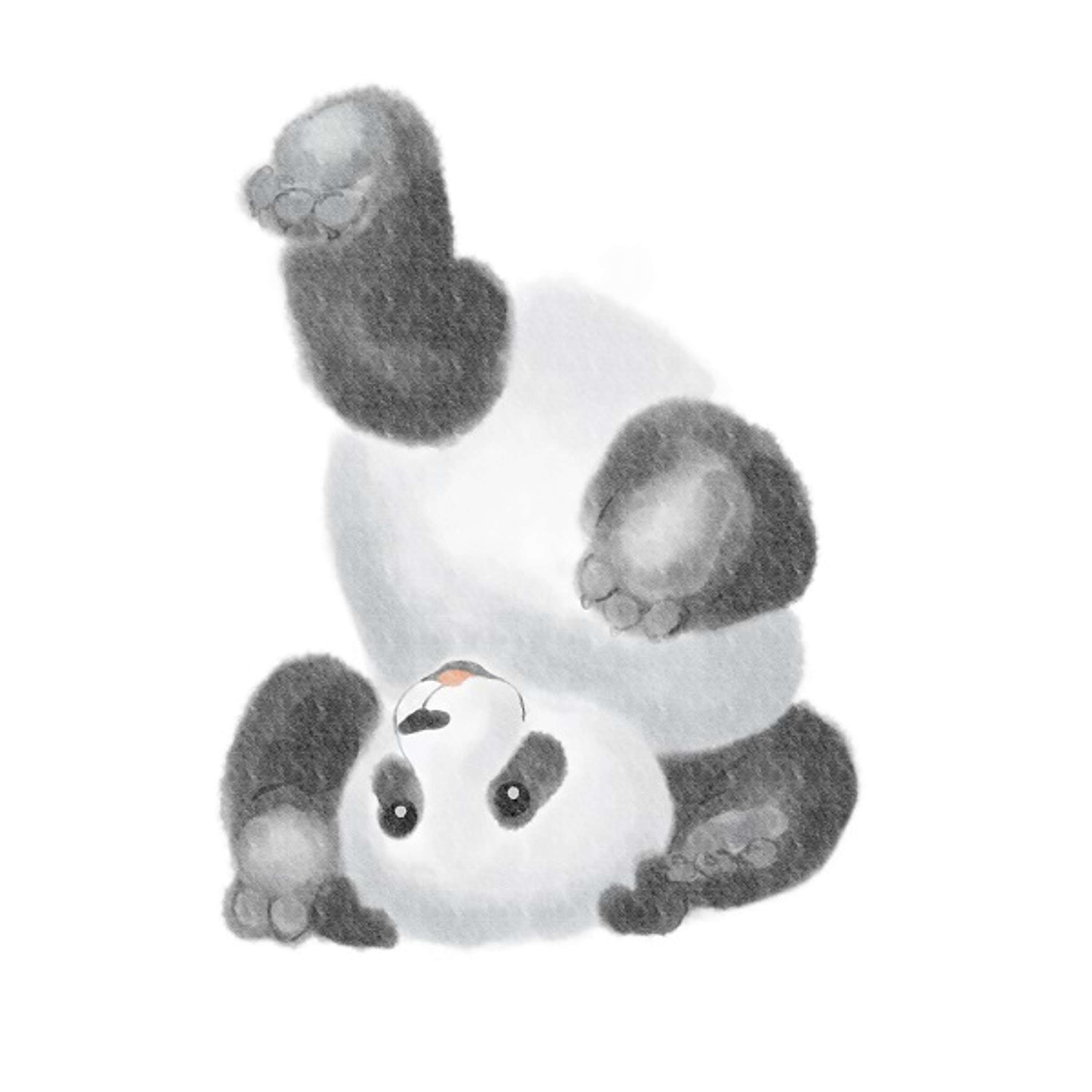 Panda rescue foundation project for donating WWF by Csongor Veres