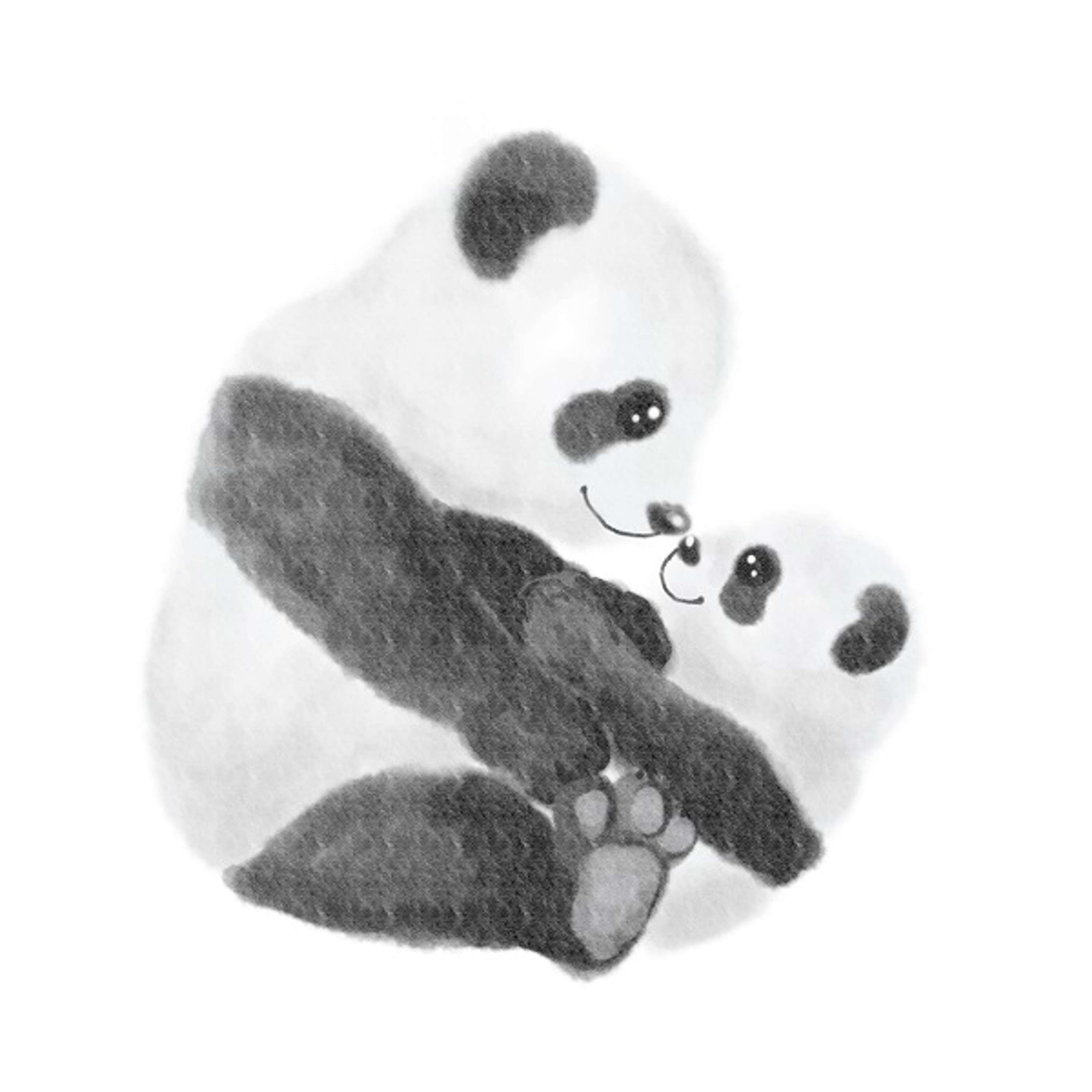 Panda rescue foundation project for donating WWF by Csongor Veres