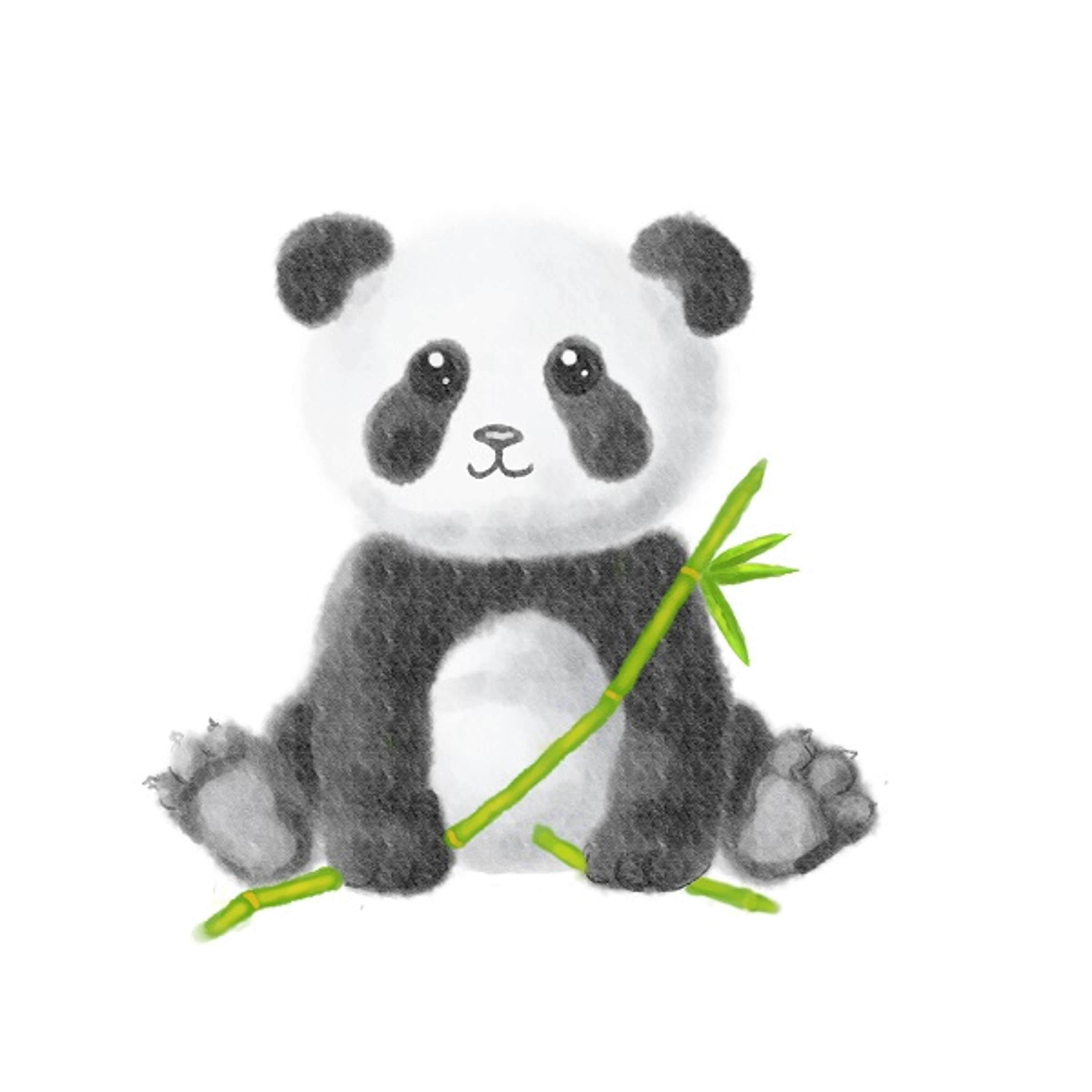Panda rescue foundation project for donating WWF by Csongor Veres