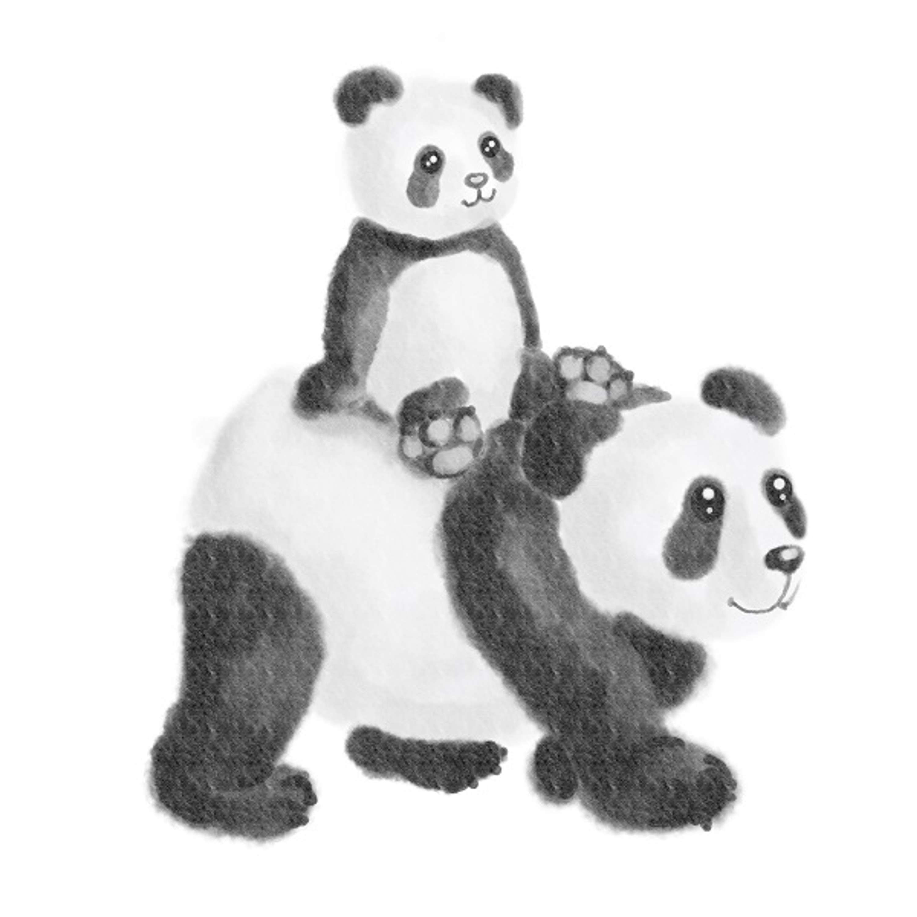 Panda rescue foundation project for donating WWF by Csongor Veres