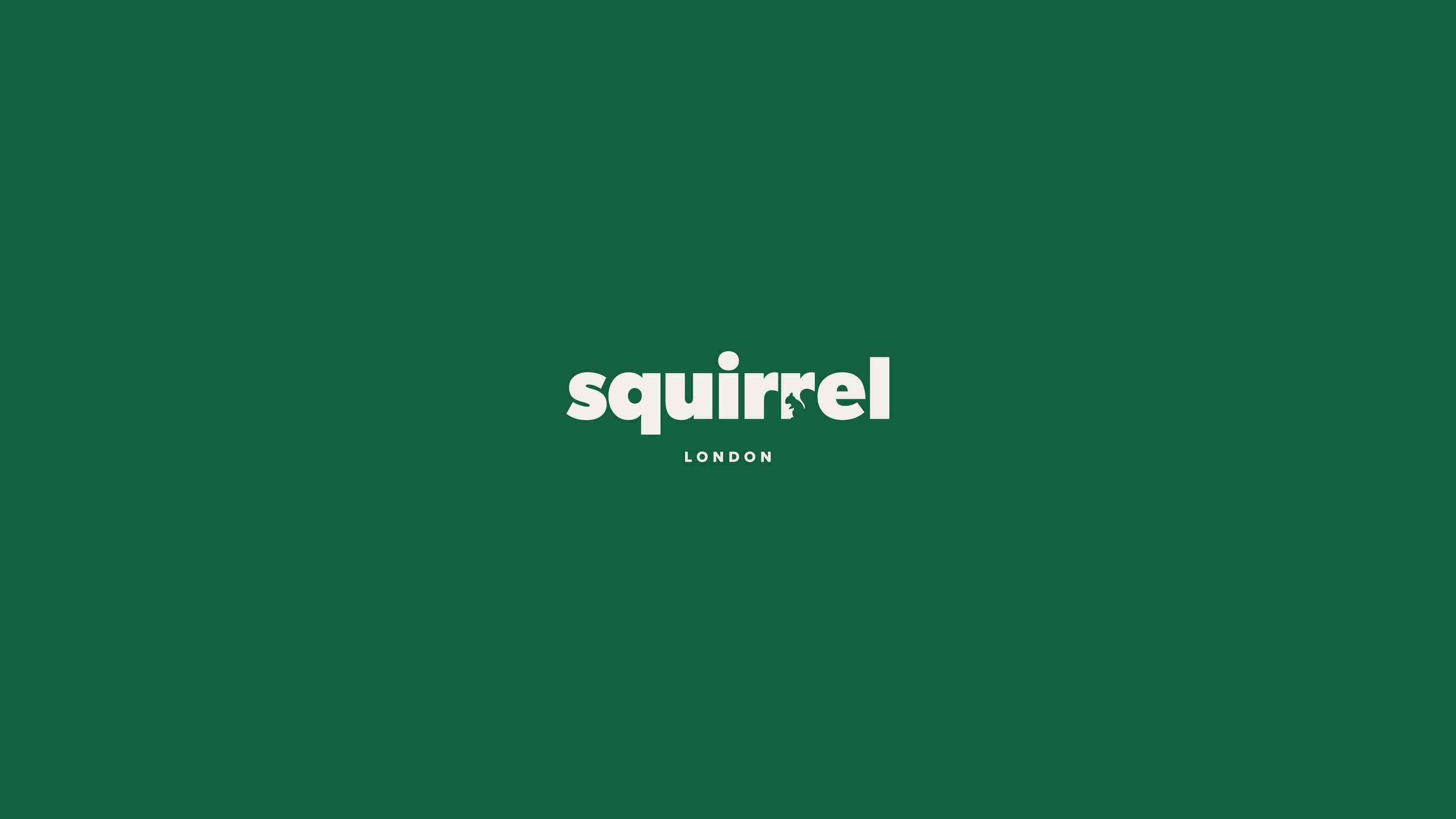 Squirrel by Lewis Brown
