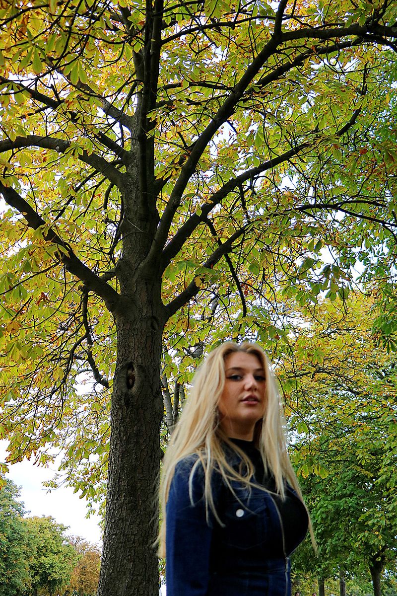 Lockdown with Greenwich Park by India Thompson