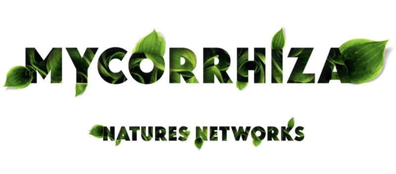MyCorrhiza : by Ravinn Cooke 