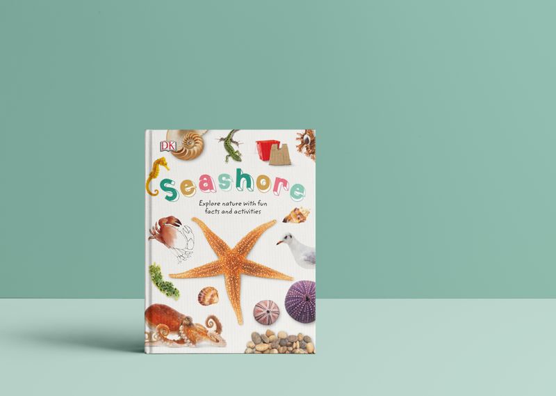 DK Seashore by Faith Nelson