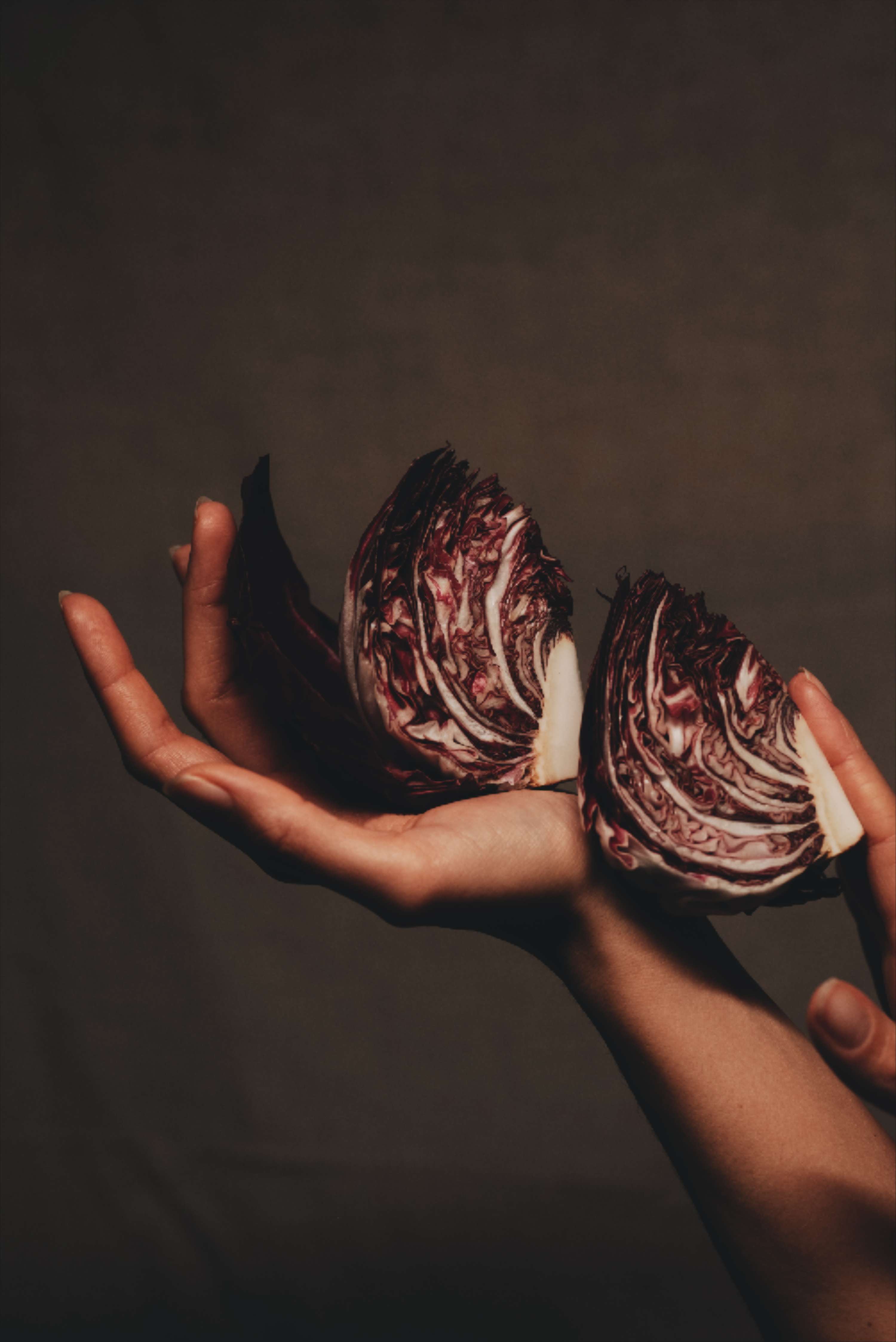 Exploring Hands + The Edible by Lucy Turnbull