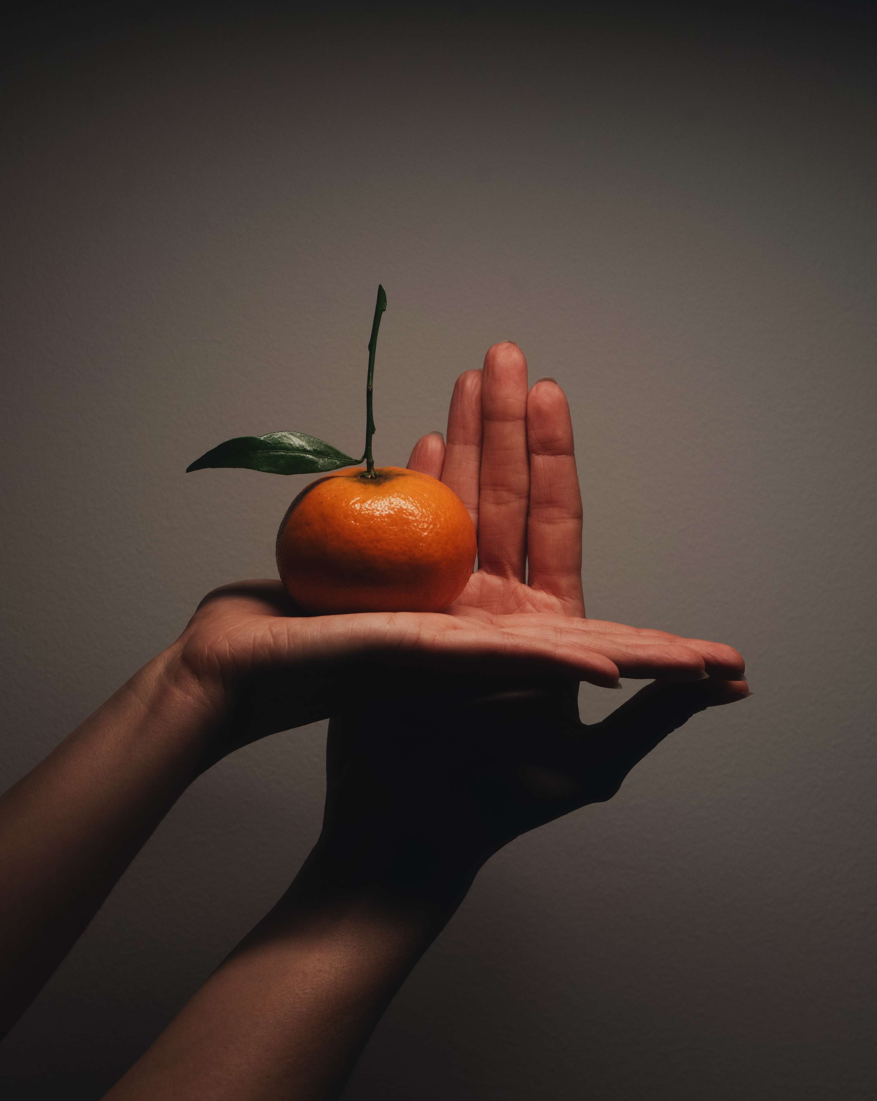 Exploring Hands + The Edible by Lucy Turnbull