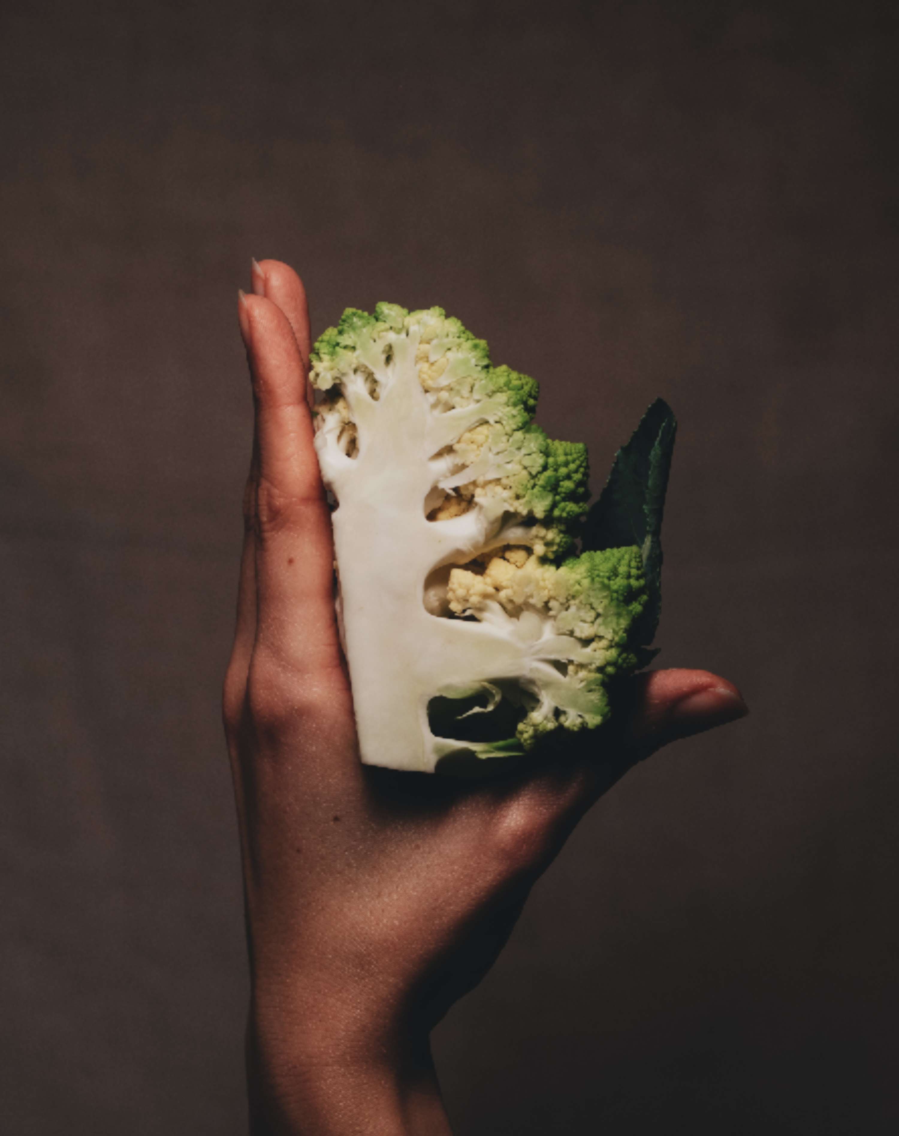 Exploring Hands + The Edible by Lucy Turnbull