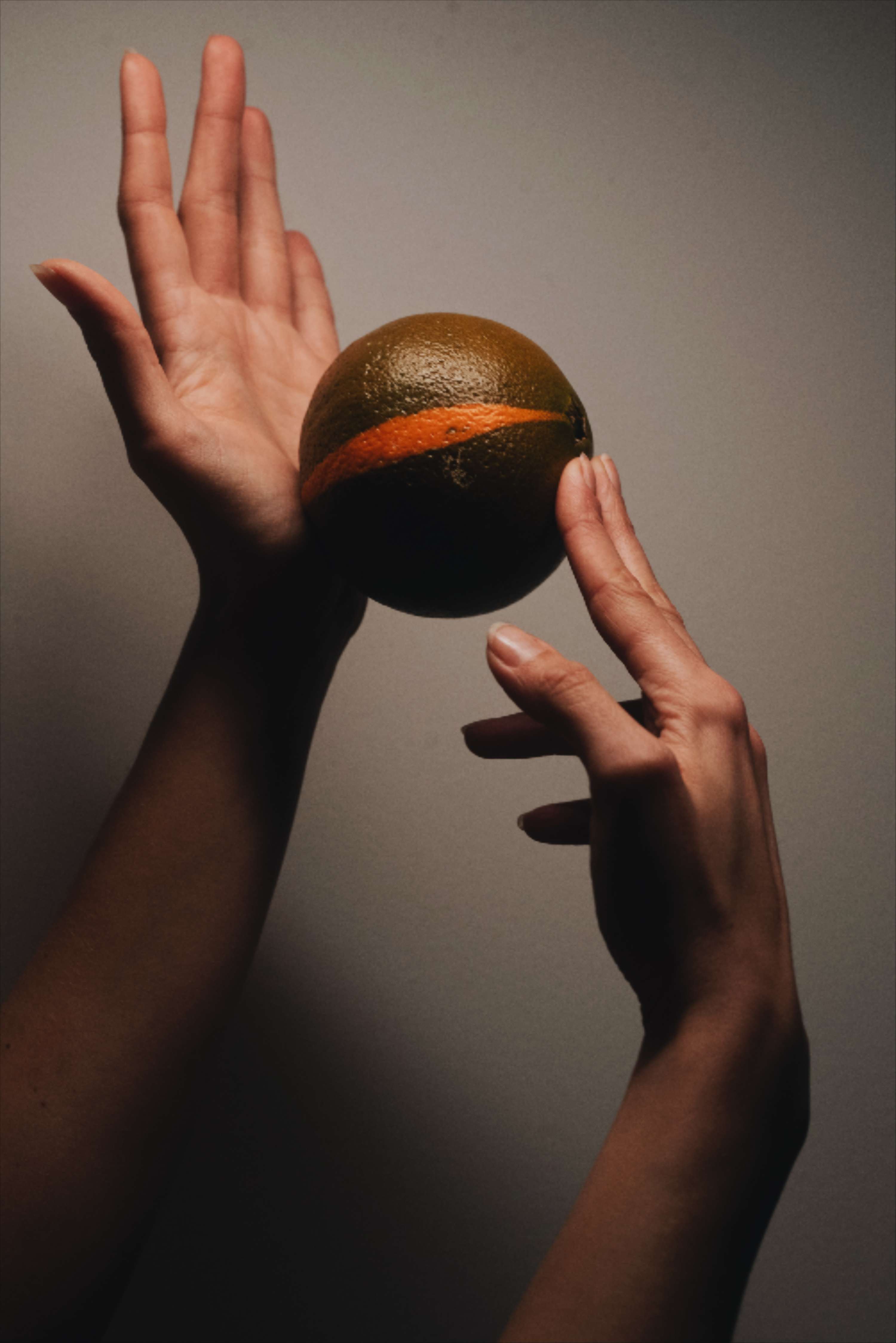 Exploring Hands + The Edible by Lucy Turnbull