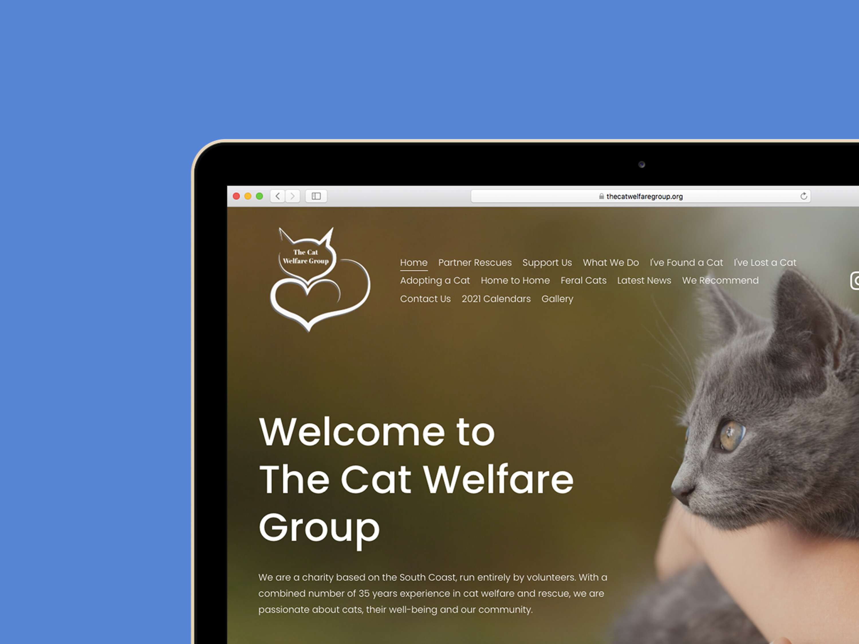 The Cat Welfare Group by Emily Grace Woffindin