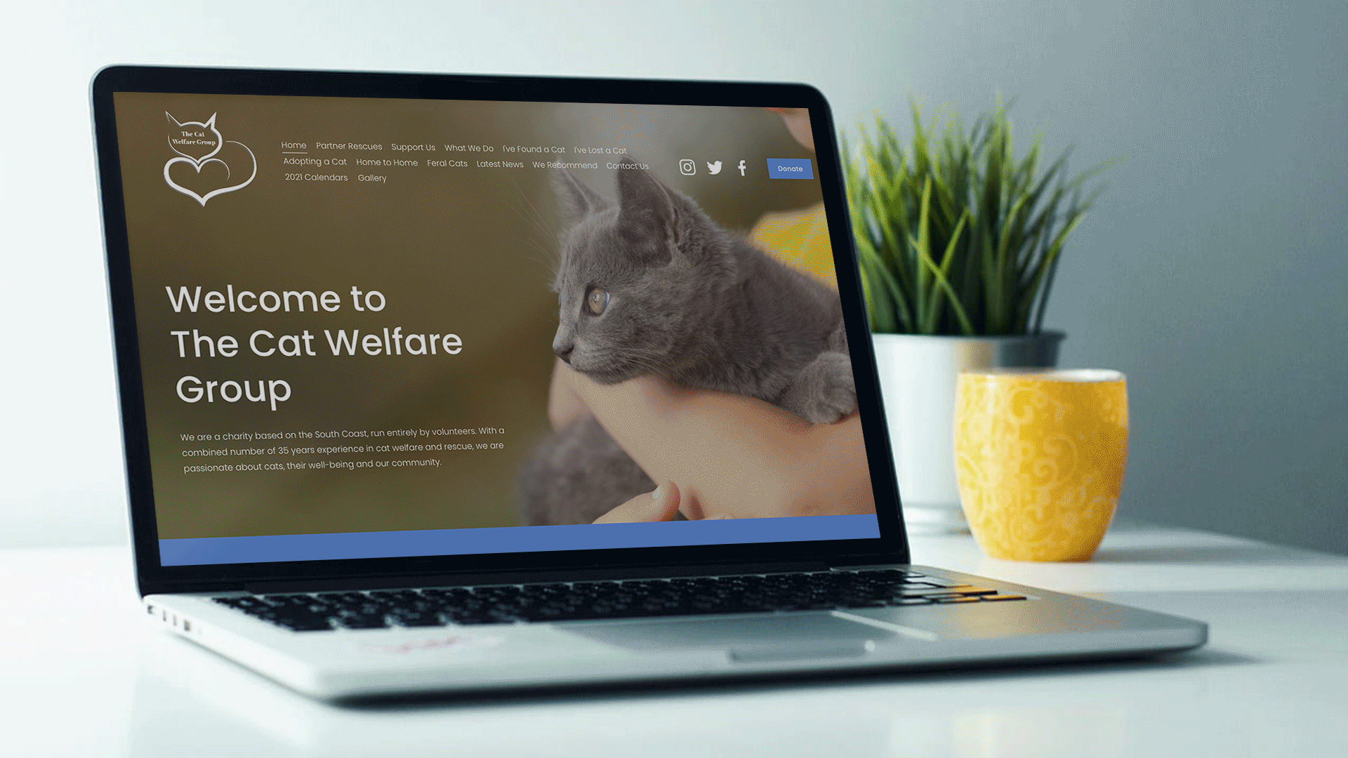 The Cat Welfare Group by Emily Grace Woffindin