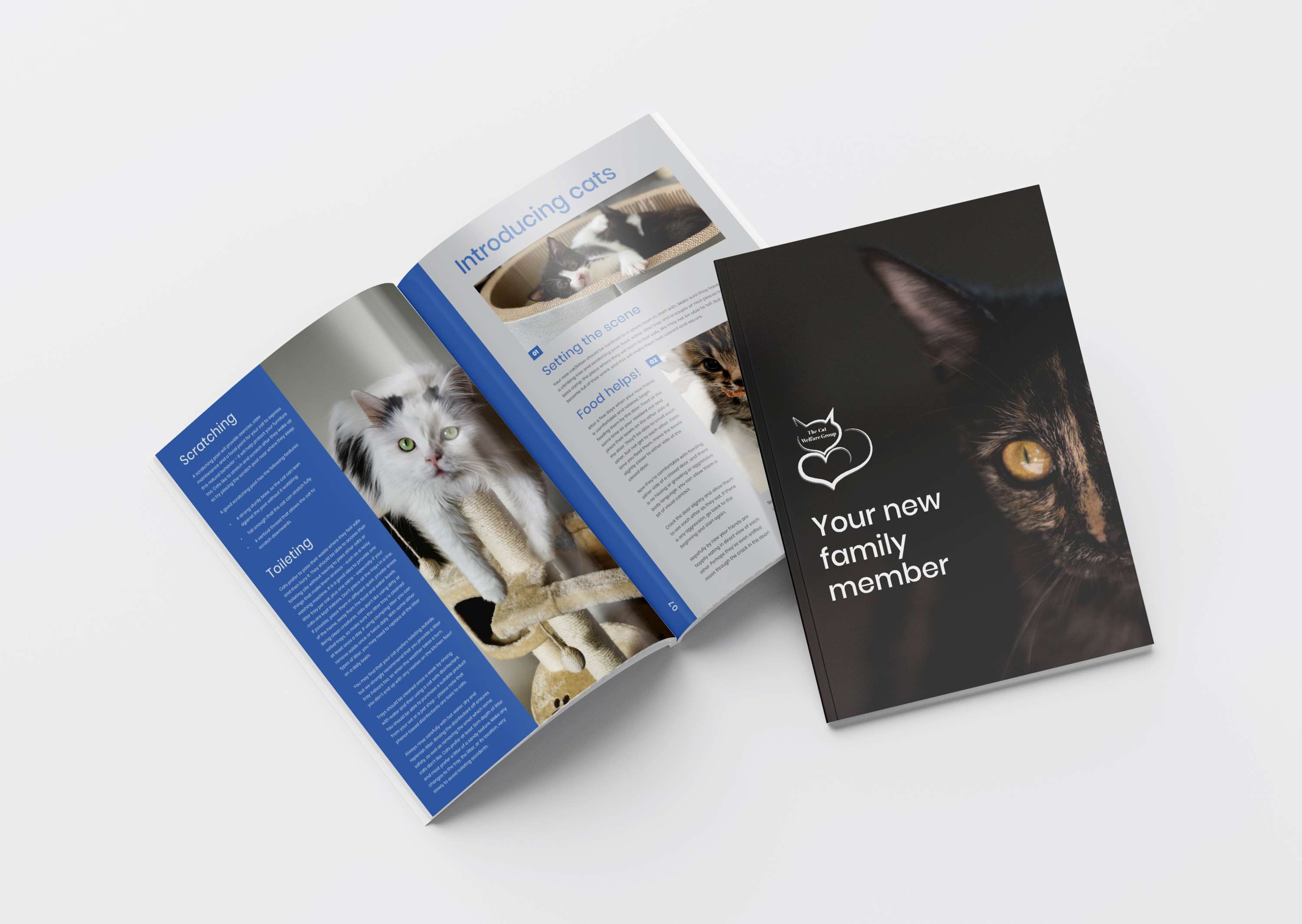 The Cat Welfare Group by Emily Grace Woffindin
