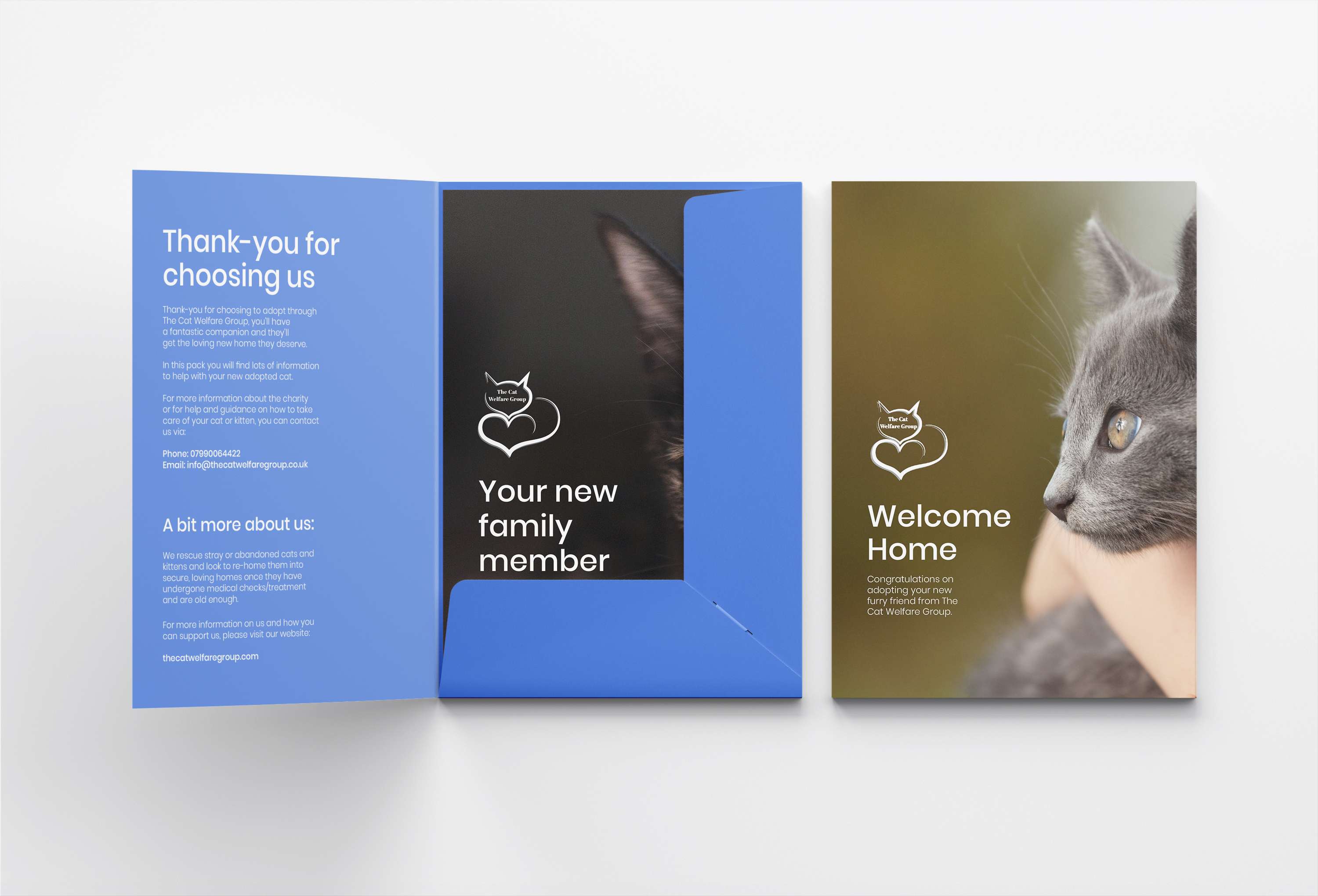 The Cat Welfare Group by Emily Grace Woffindin