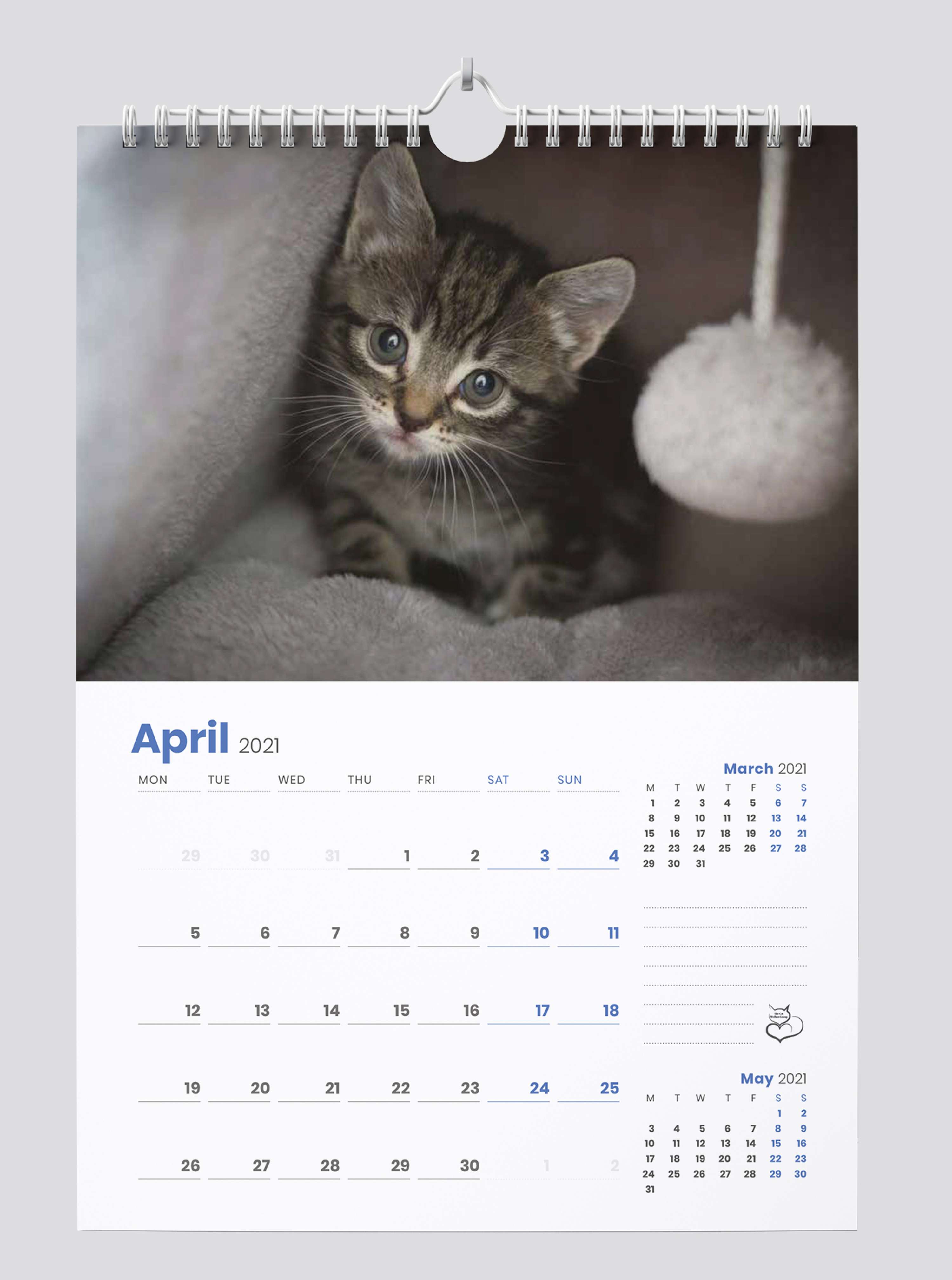 The Cat Welfare Group by Emily Grace Woffindin