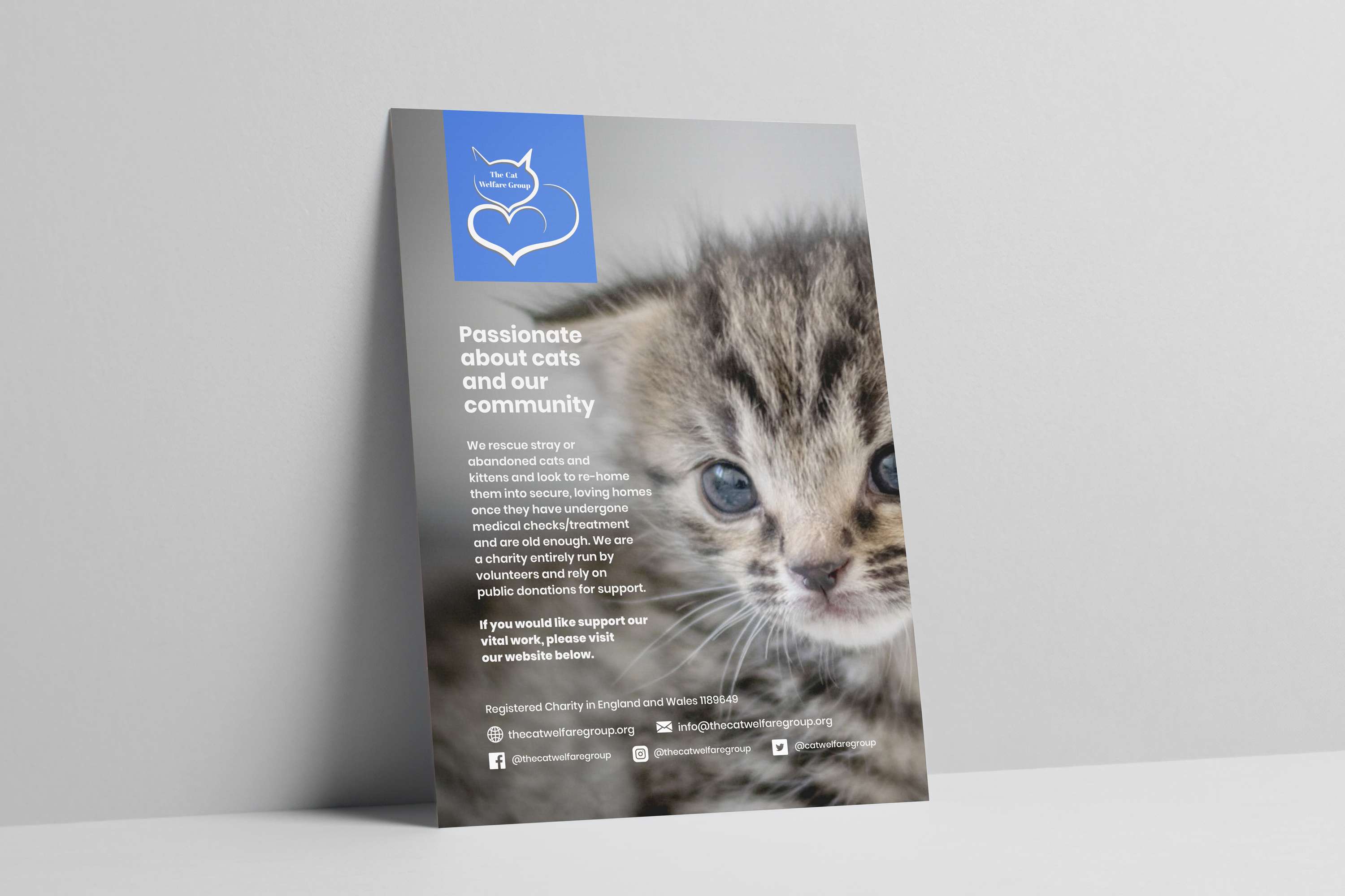The Cat Welfare Group by Emily Grace Woffindin