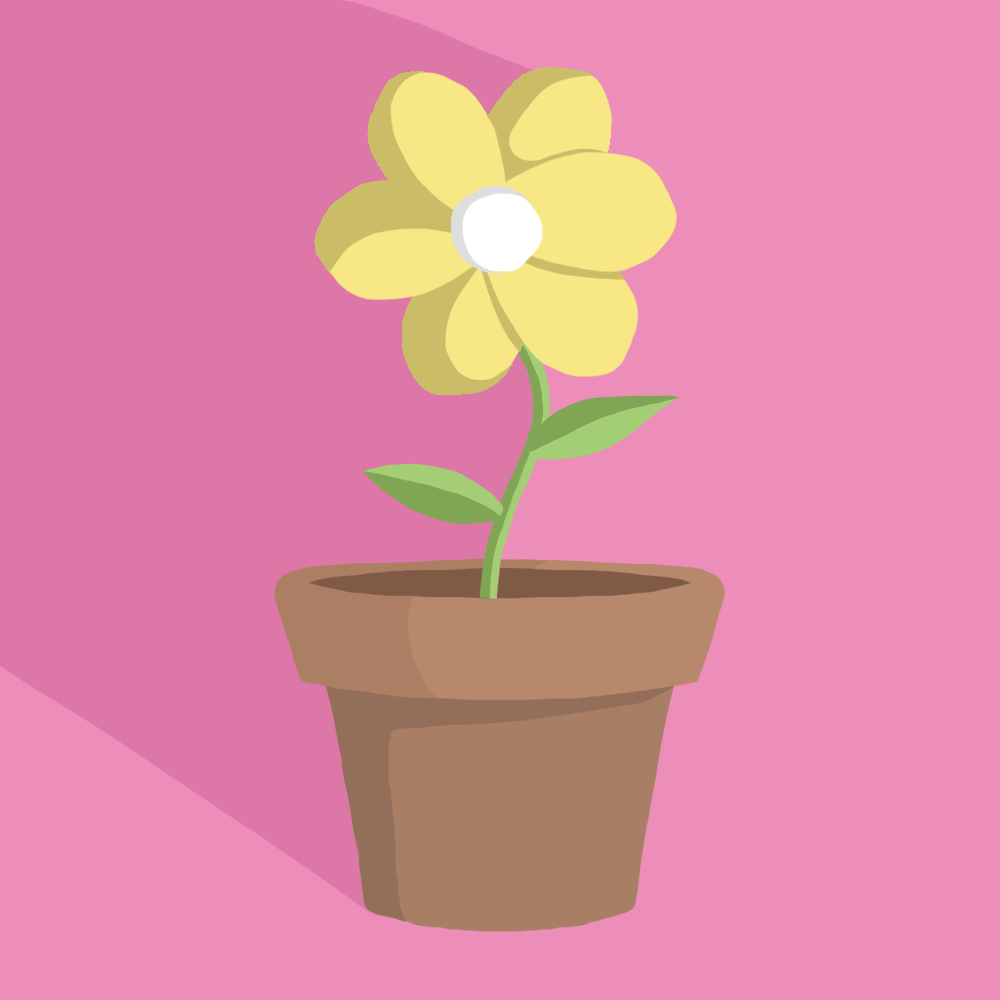 Website GIFs for 'any segment' by Elise Gordon