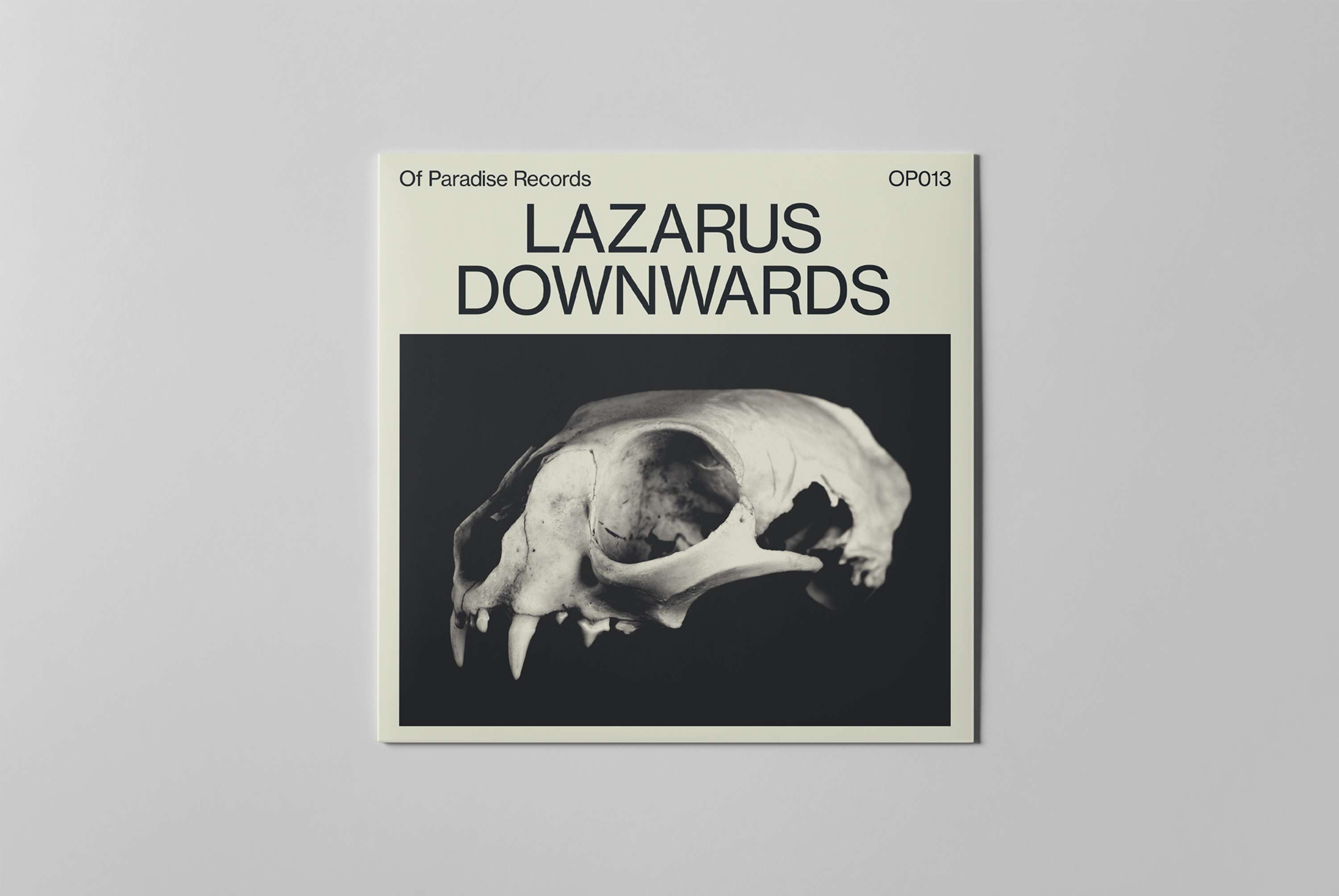 Of Paradise Records Identity by Studio LP