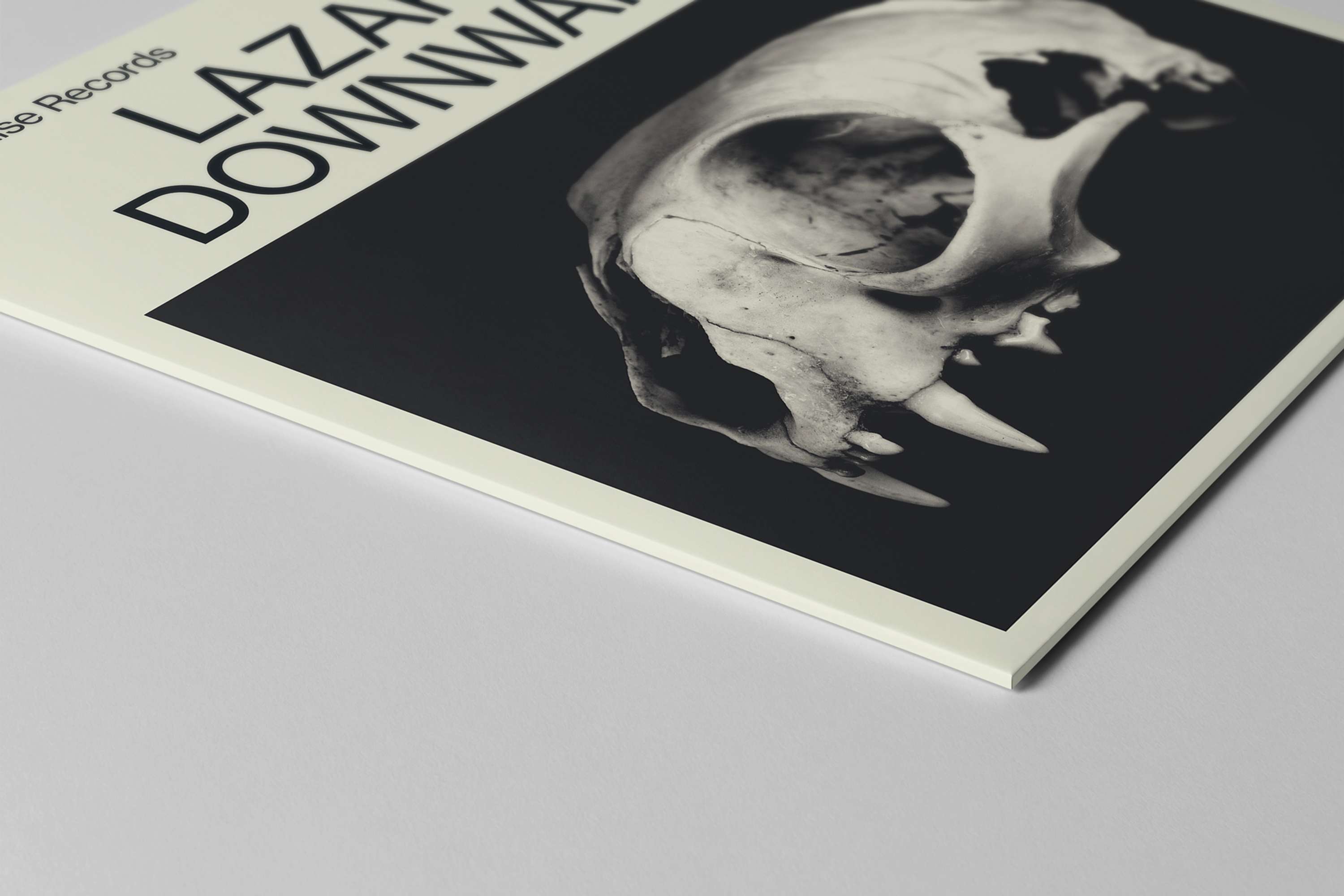Of Paradise Records Identity by Studio LP