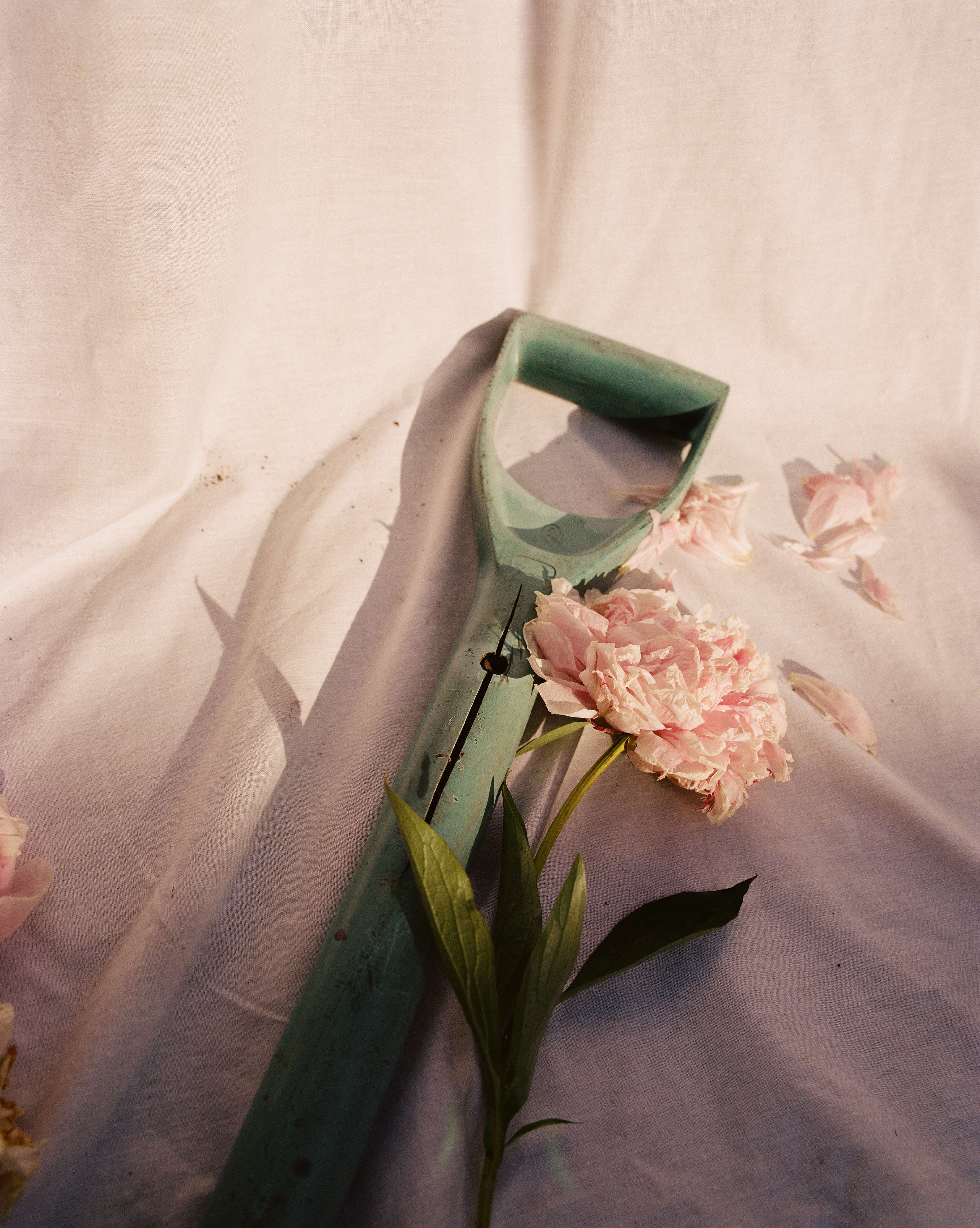 Personal Work 2020 by Amy Lidgett