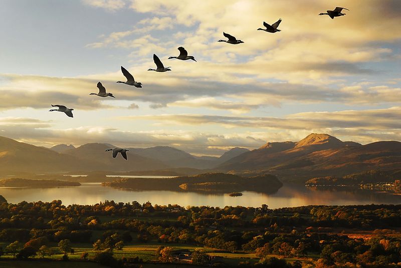 Creating a new brand - Loch Lomond & The Trossachs National Park by Alan Ainsley