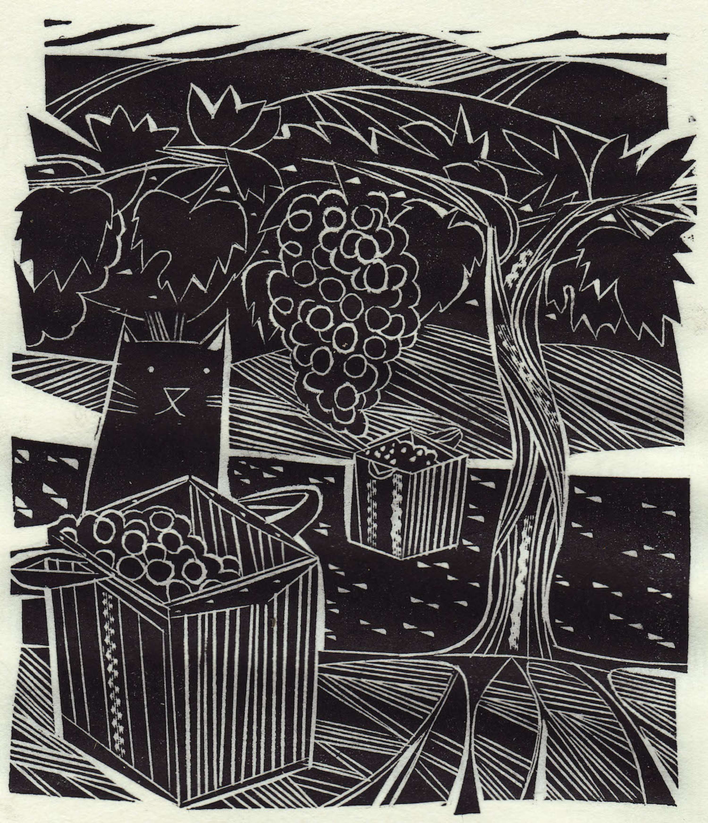 Jonny Gibbs x Fluent Wines by Emilie Tardivel