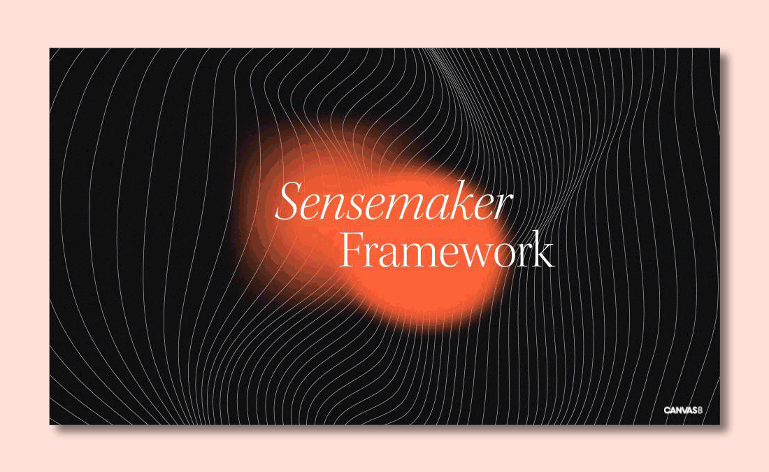 The Sensemaker Framework by Canvas8