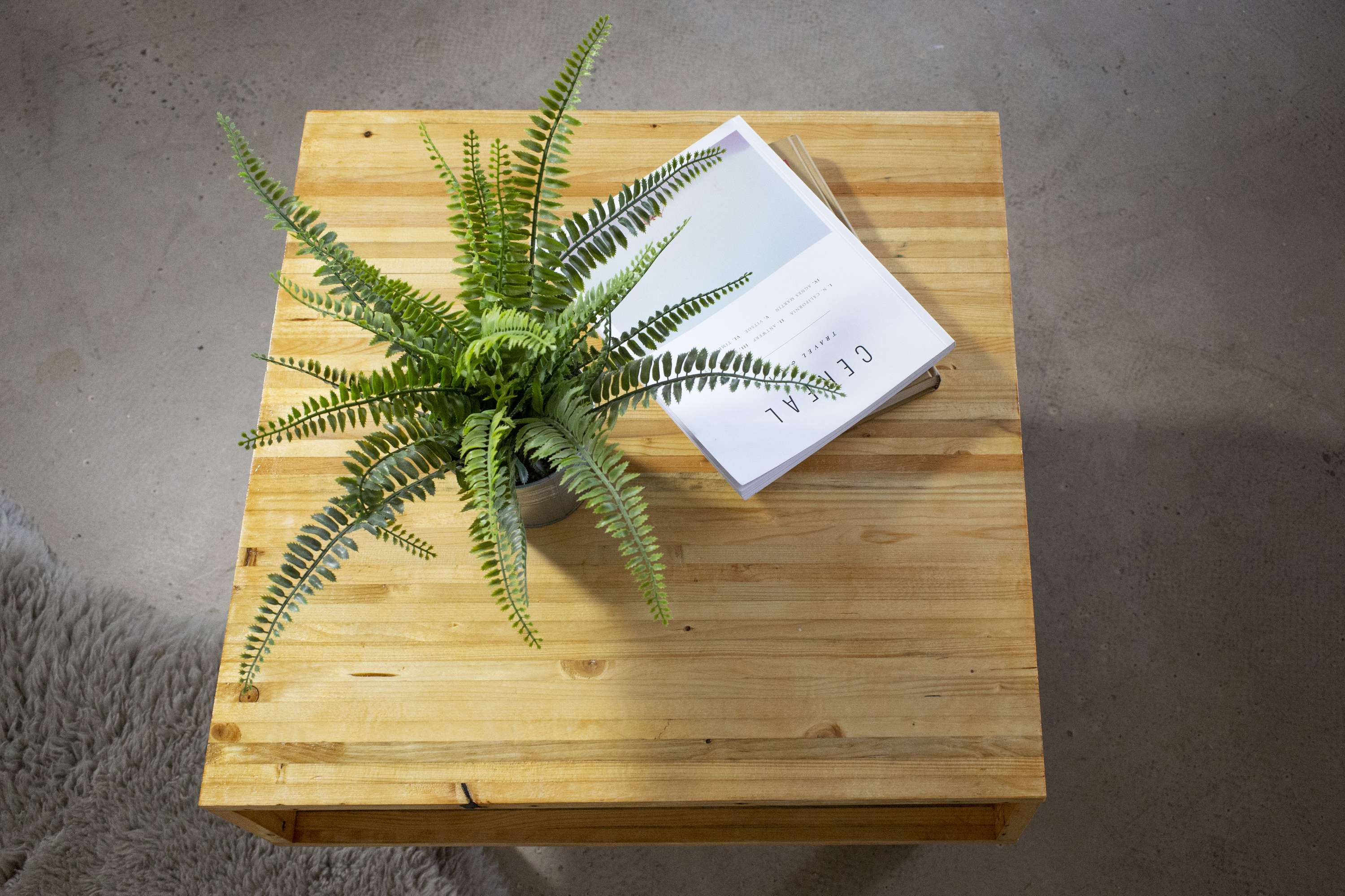 Images for InUse ReUse - Brixton by Francesca McGowan
