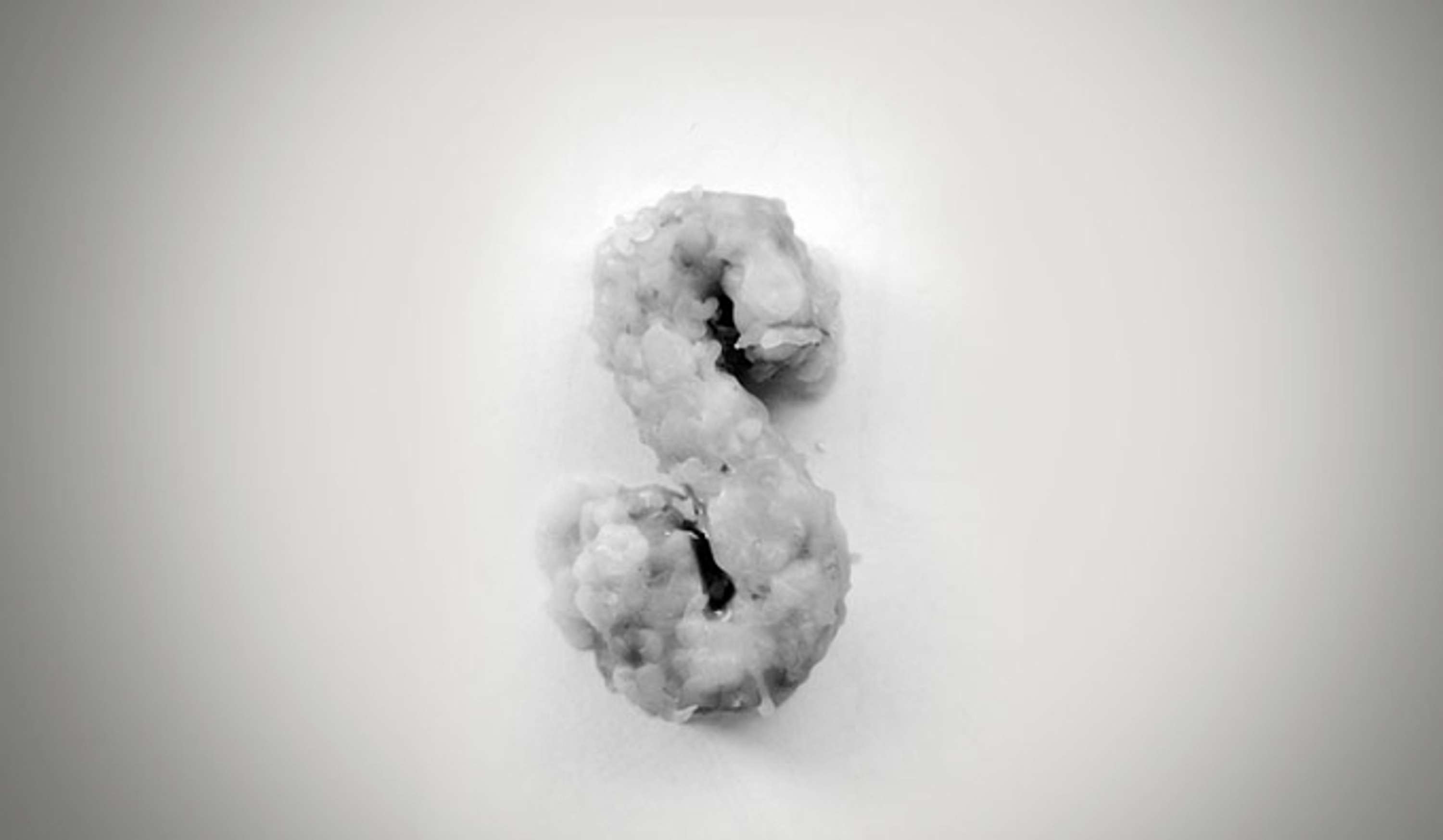HOMEMADE TYPOGRAPHY by Nico Garcia