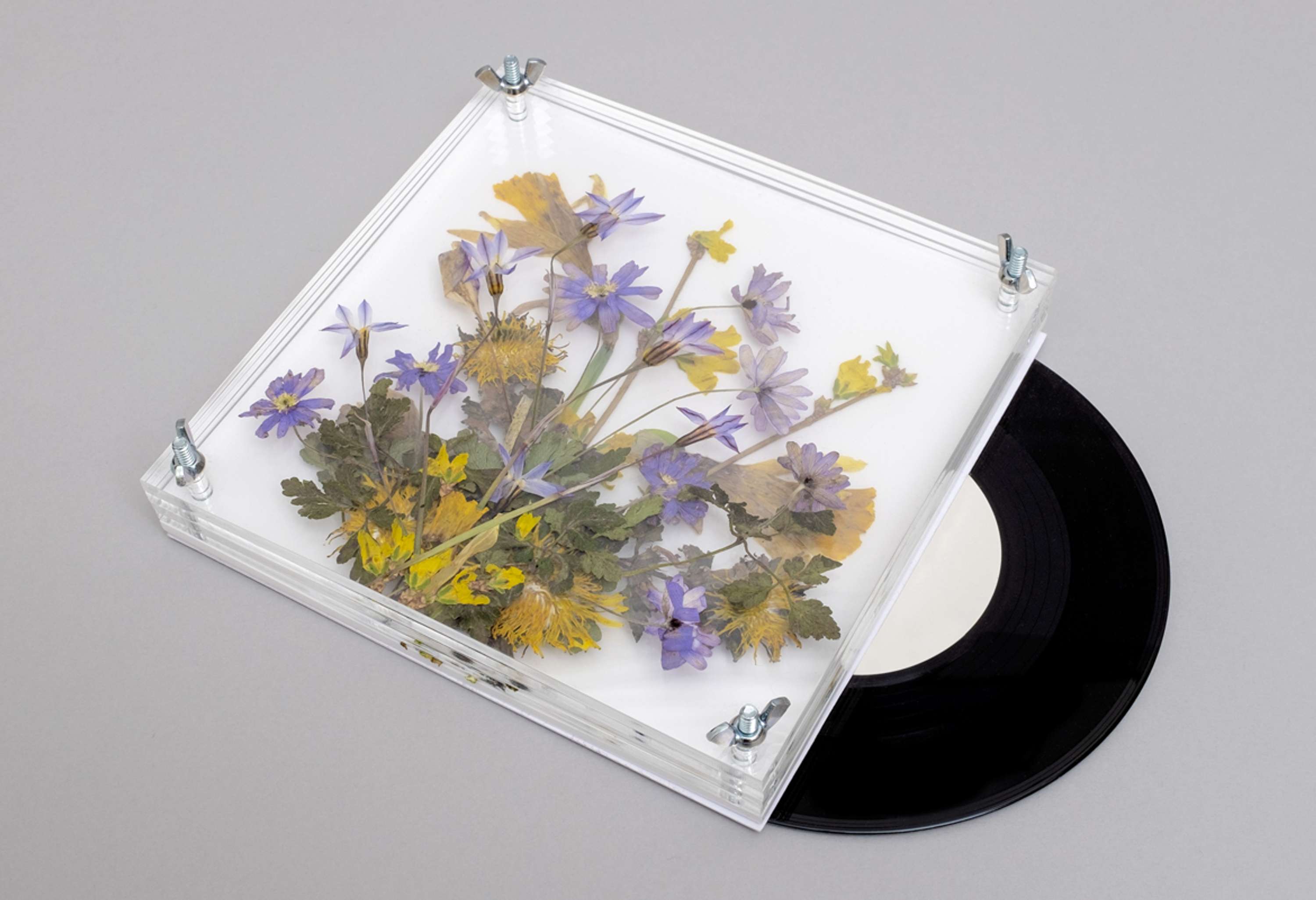Secret 7" by Stuart Tolley