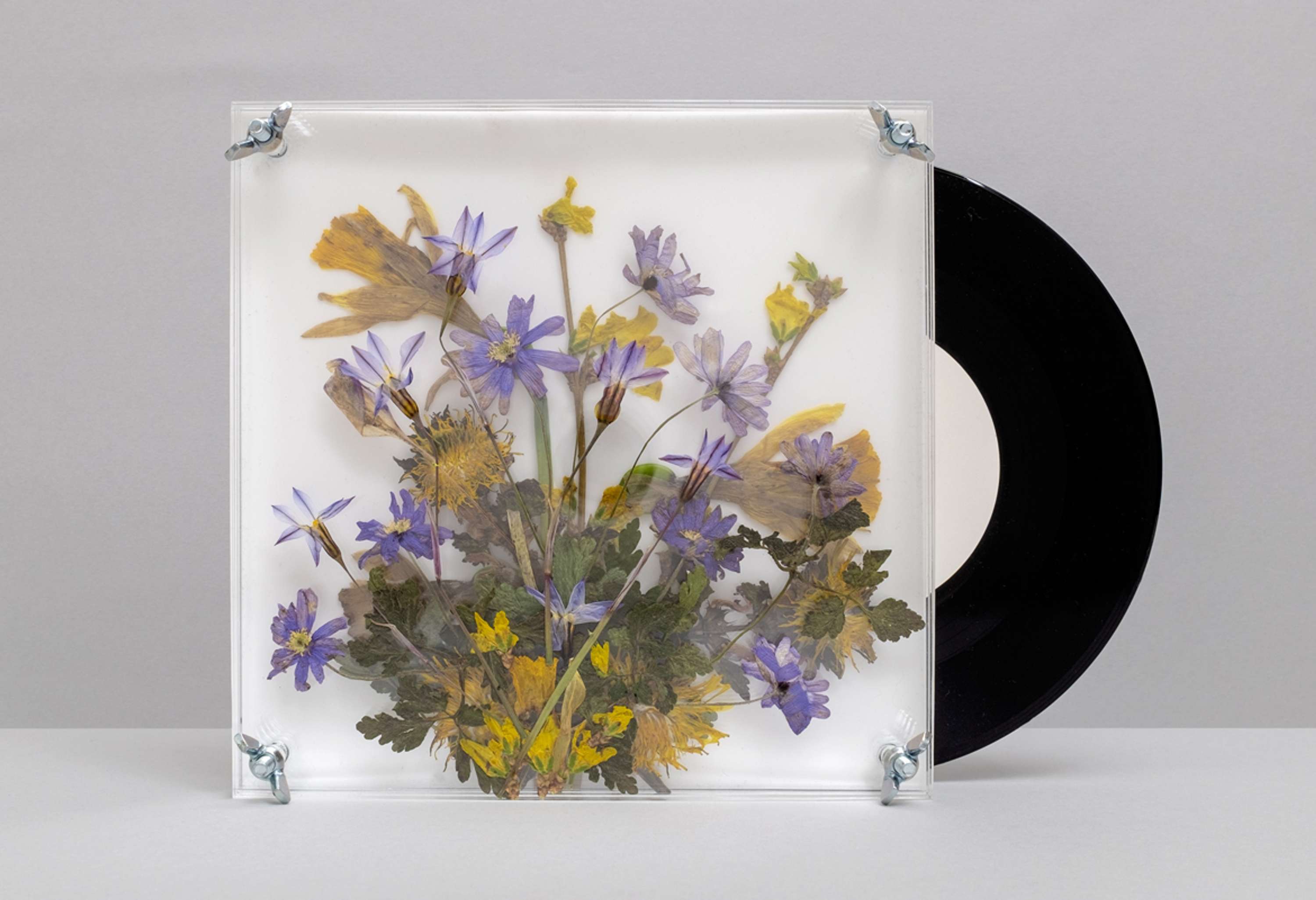 Secret 7" by Stuart Tolley